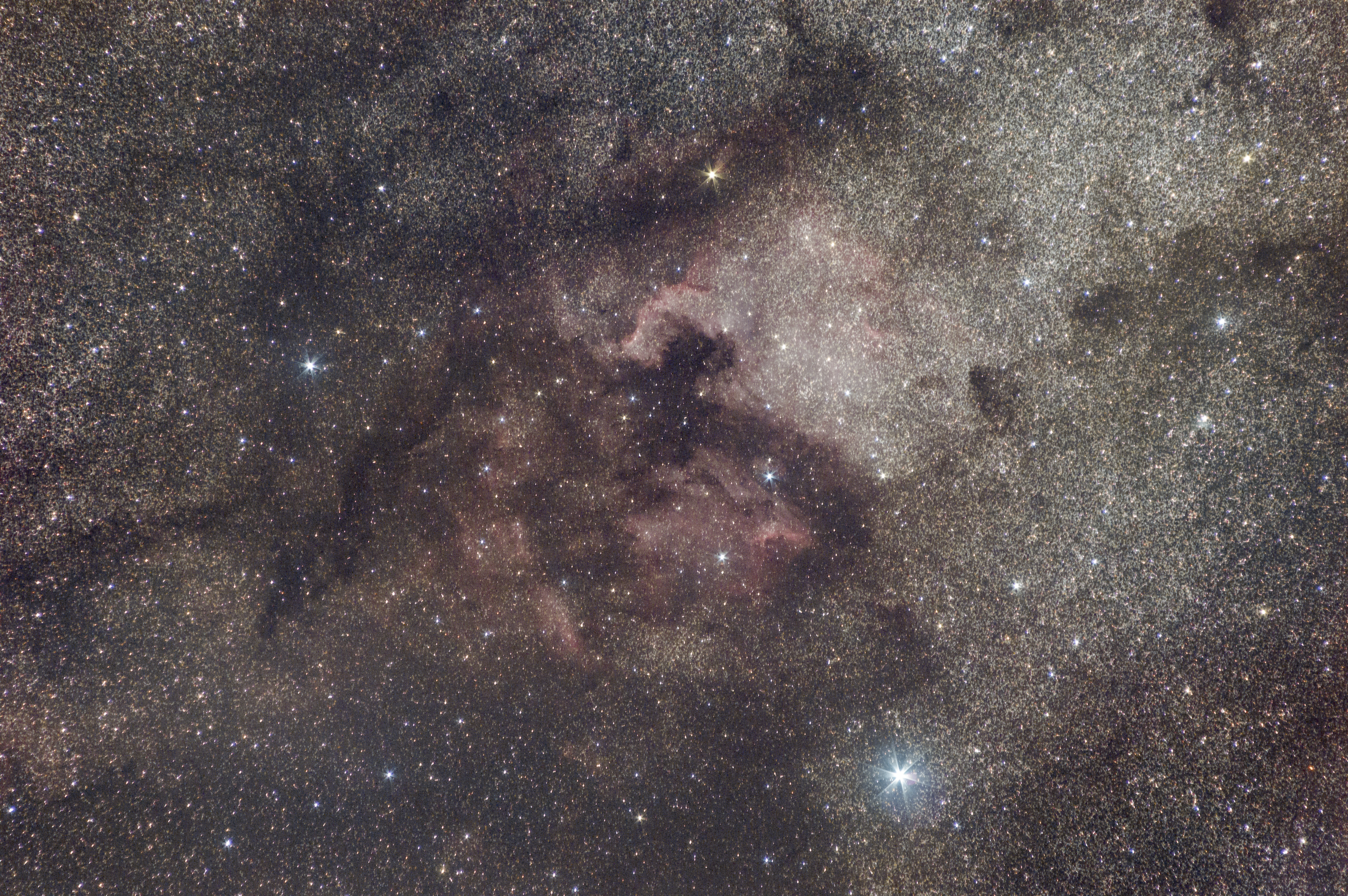 ngc7000图片