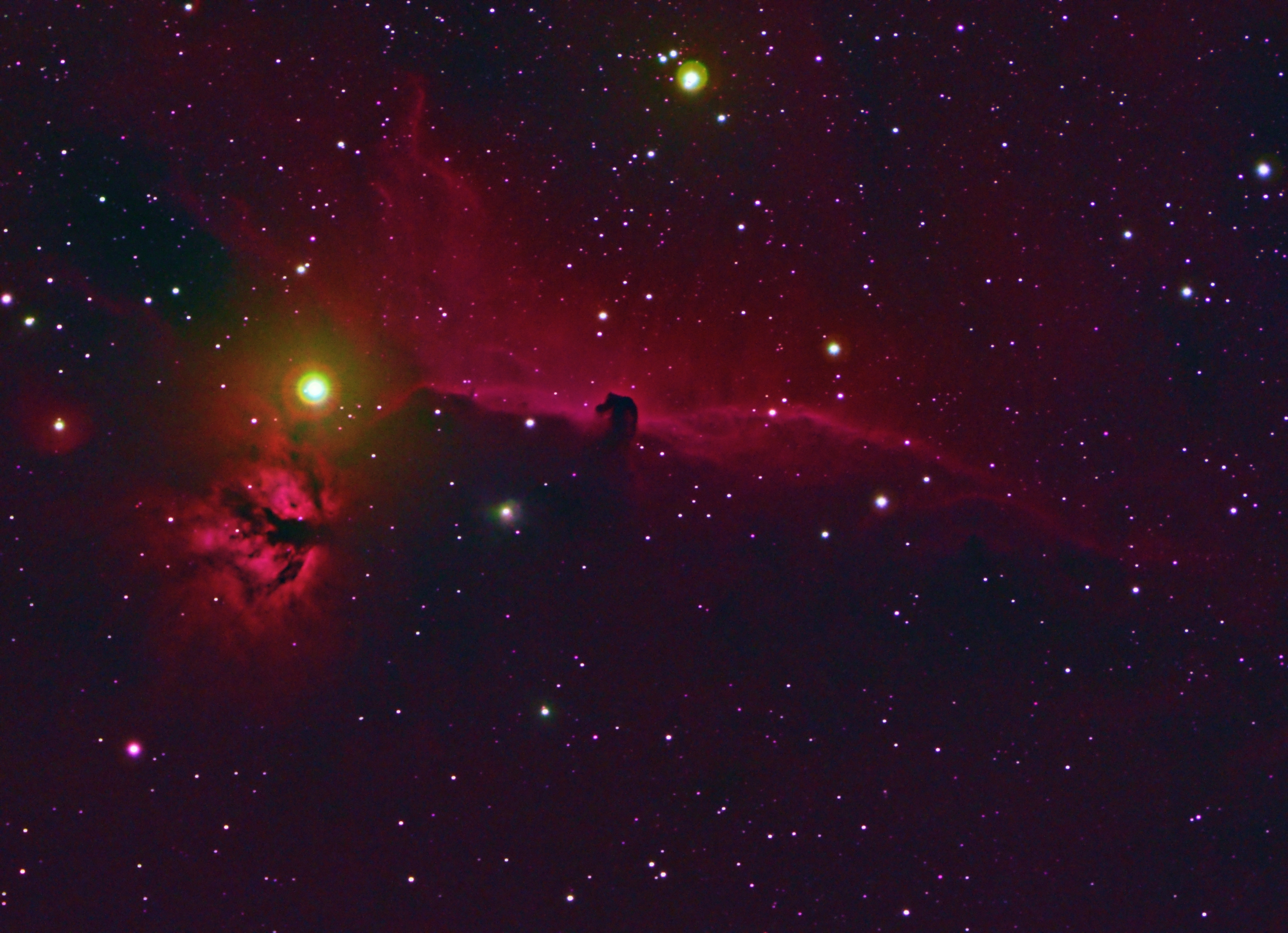 IC434-HOS-600S_45P.jpg