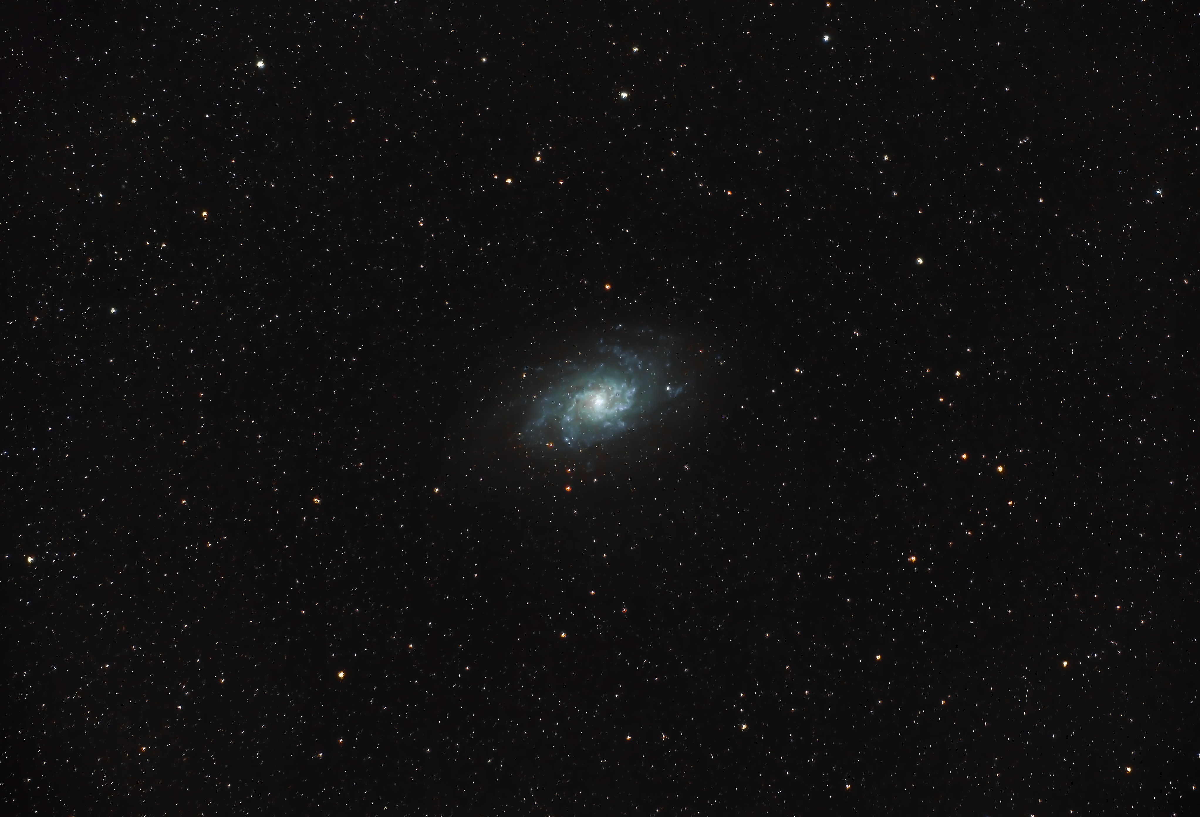 M331PS.jpg