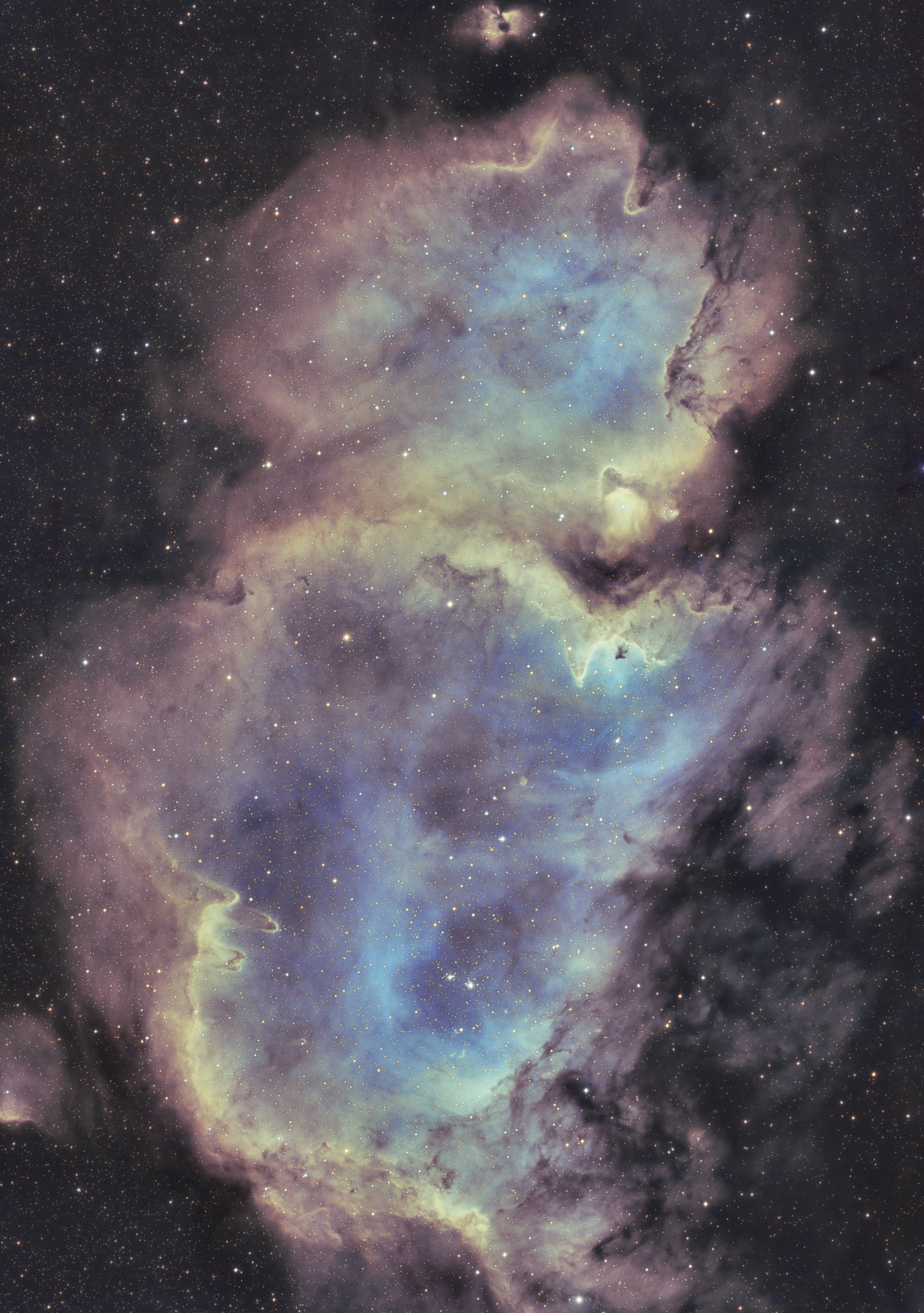 ic1848缩星.jpg