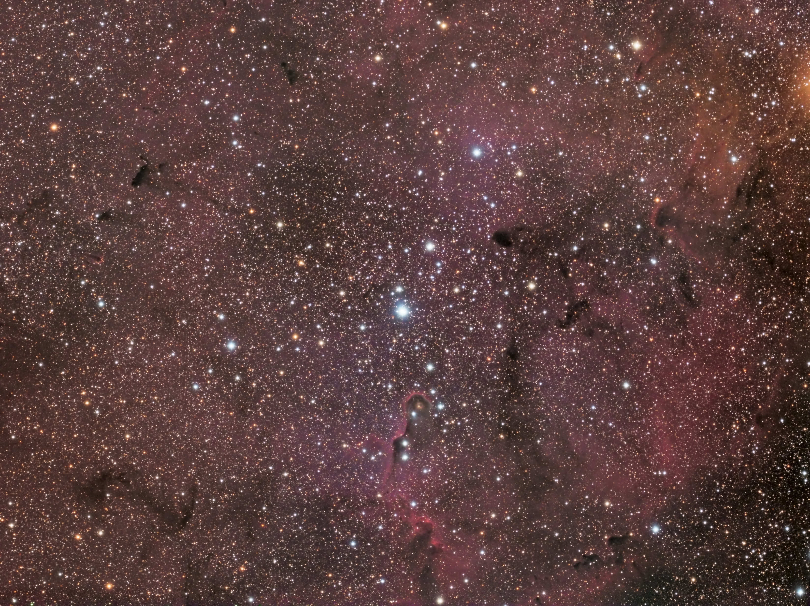 IC1396-LRGB-600S_61P.jpg