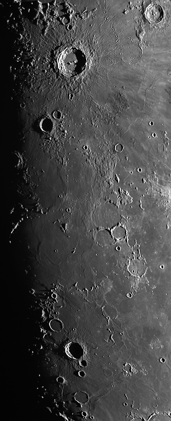130855_300.jpg