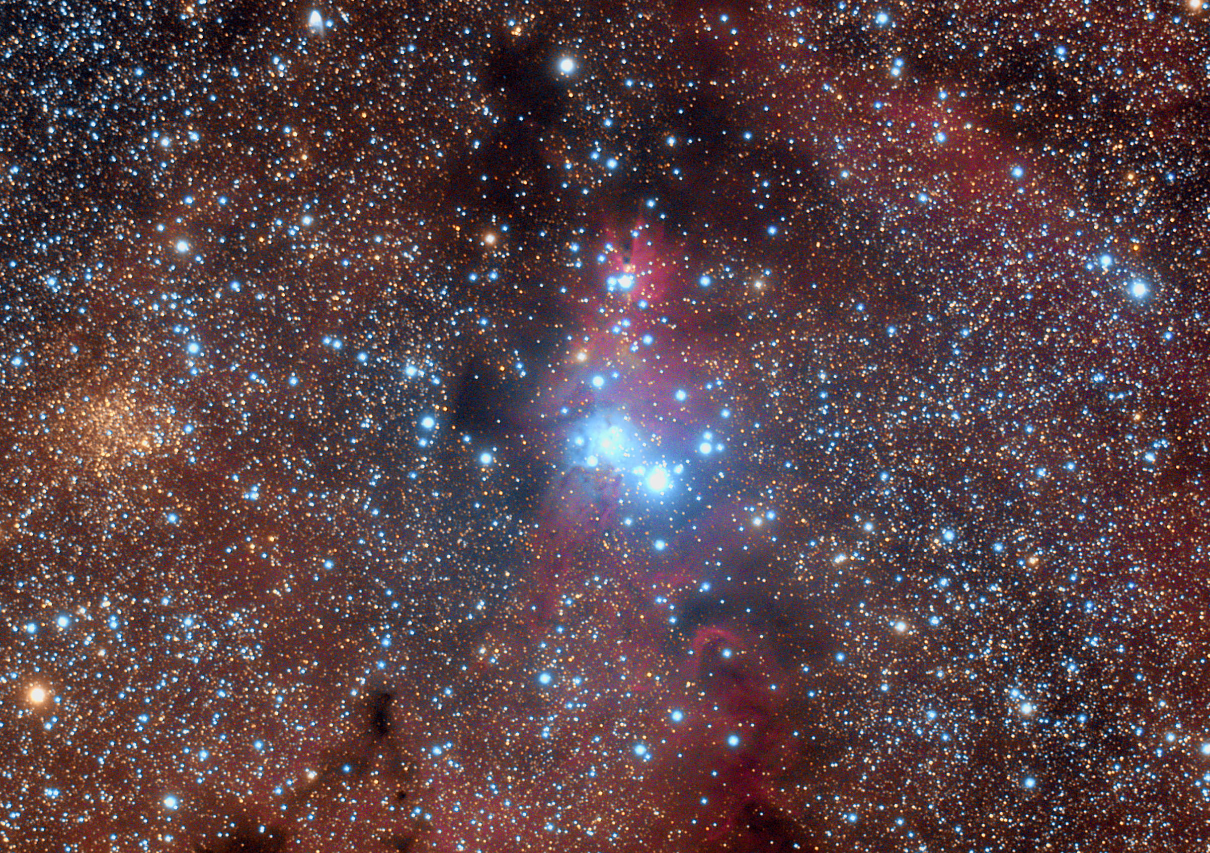 ngc2264.jpg