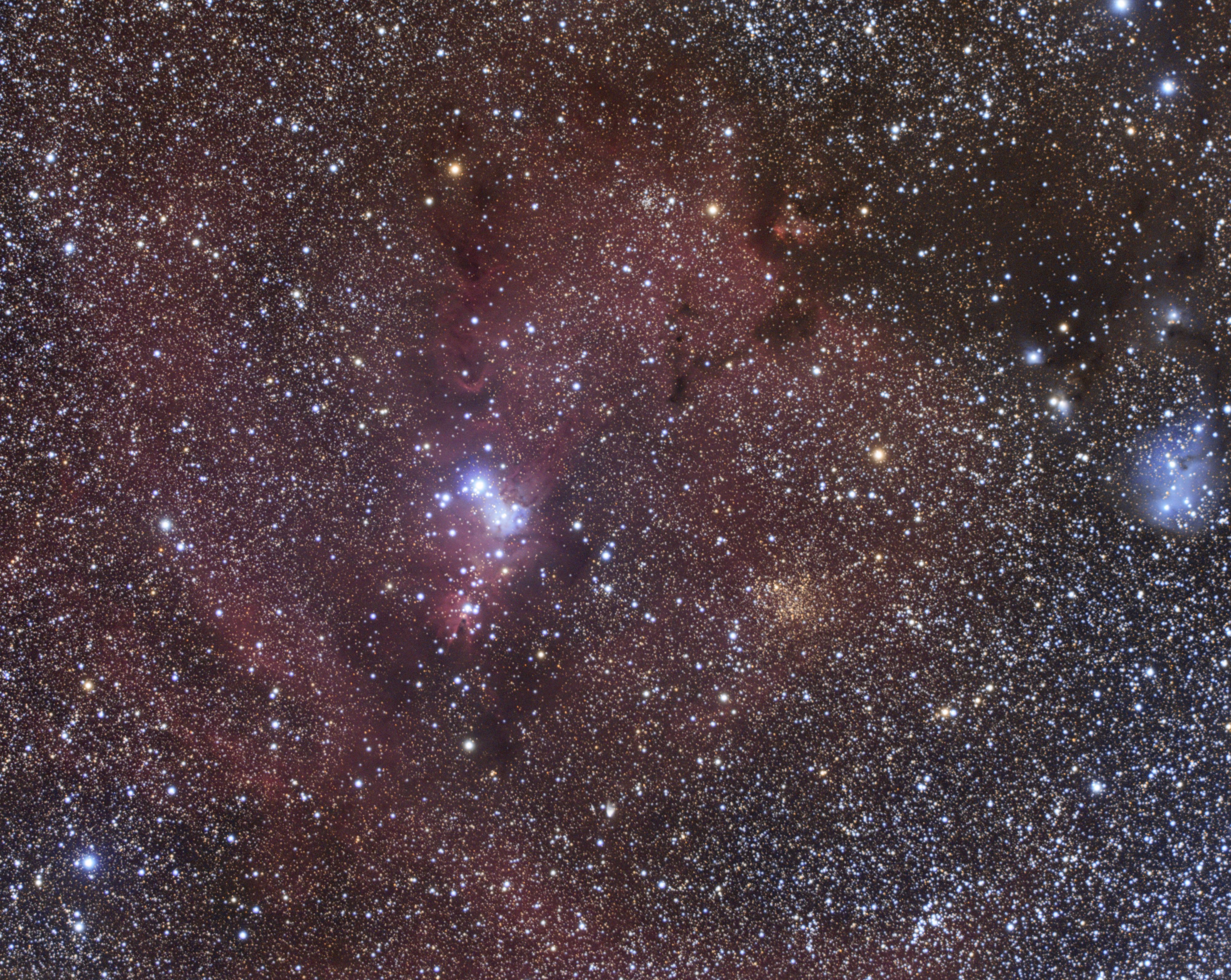 ngc2264.jpg