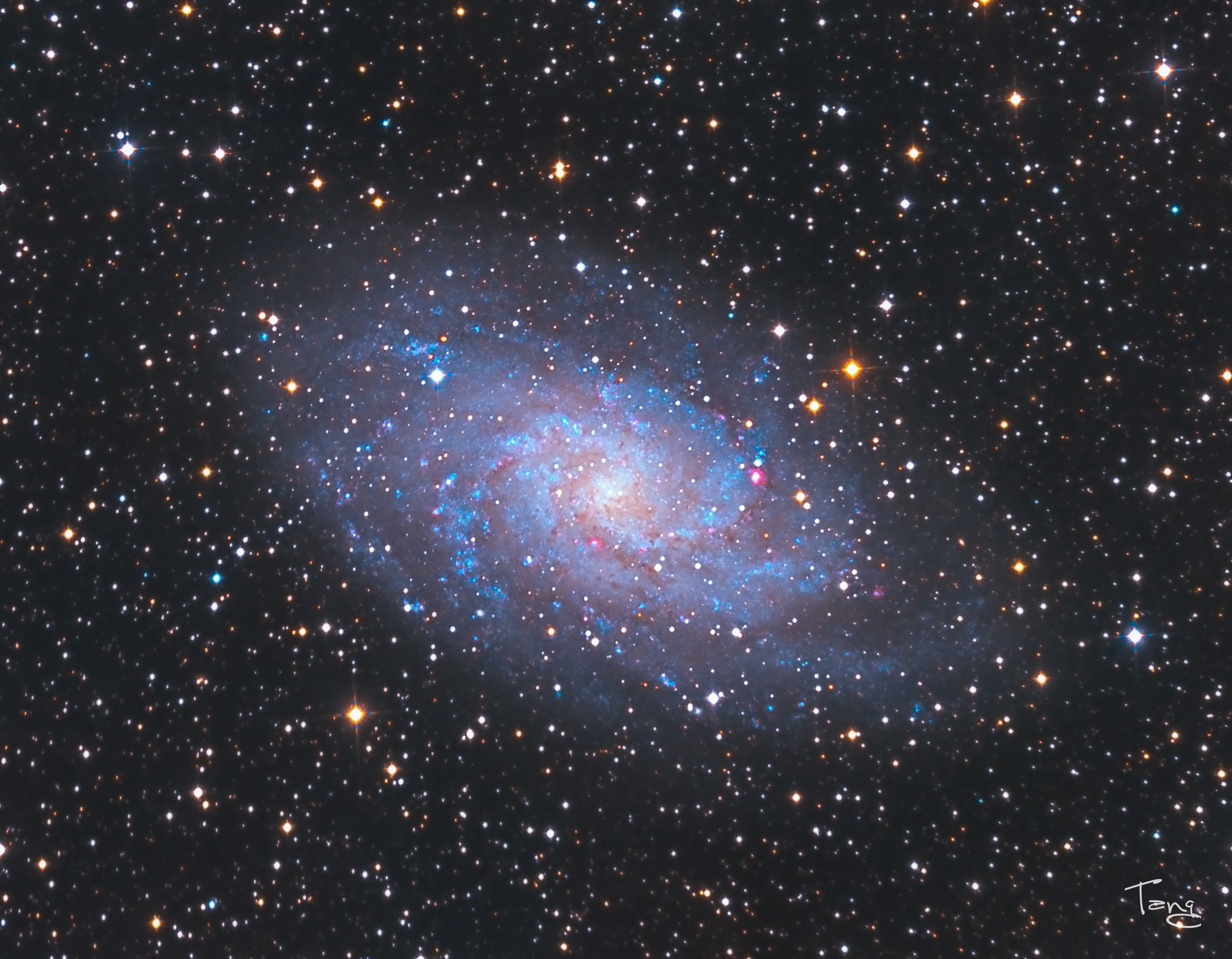 M33-LRGB