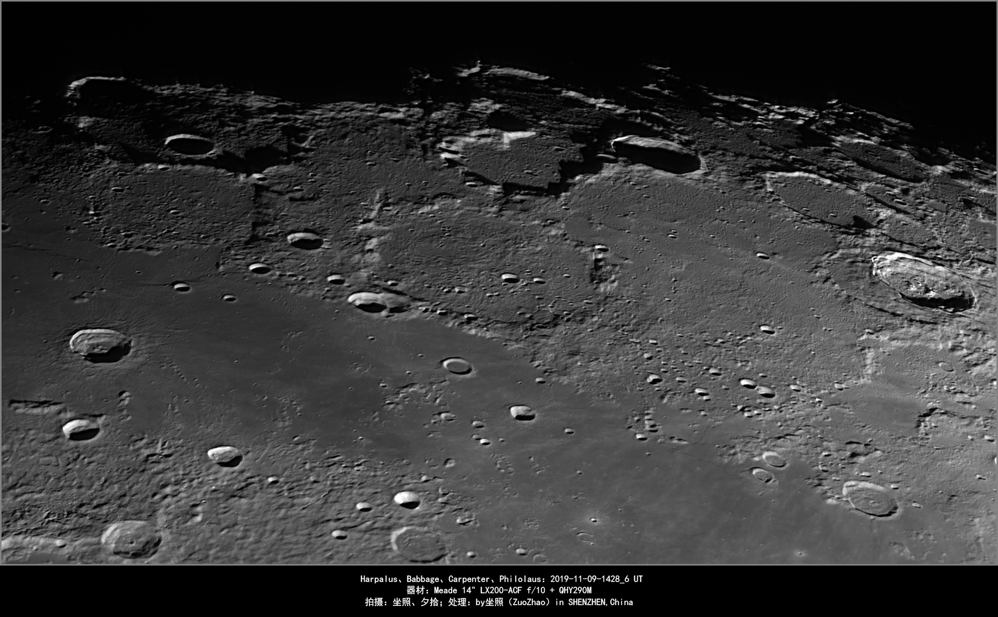 2019-11-09-1428_6_Harpalus、Babbage、Carpenter、Philolaus.jpg