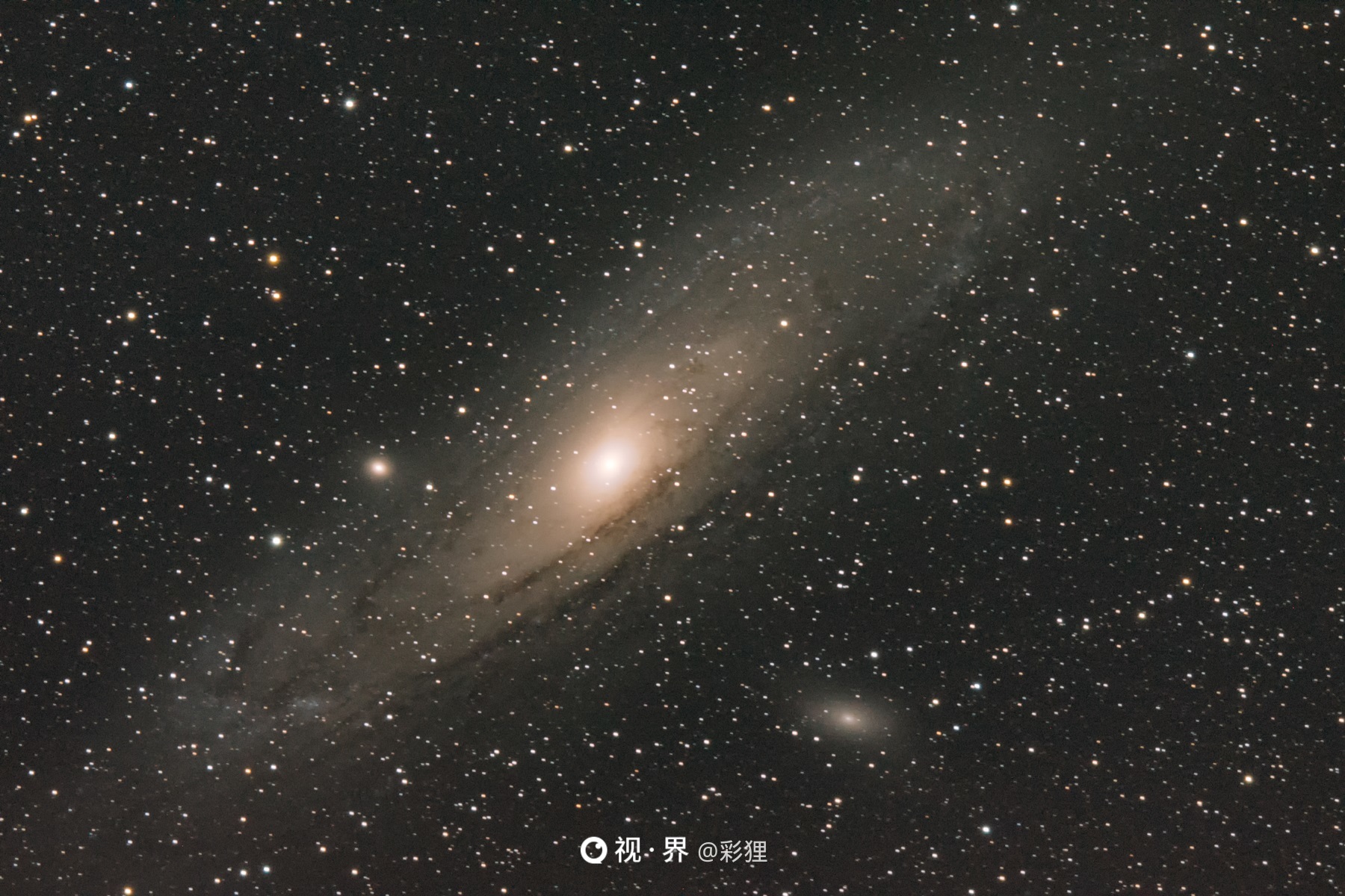 M31