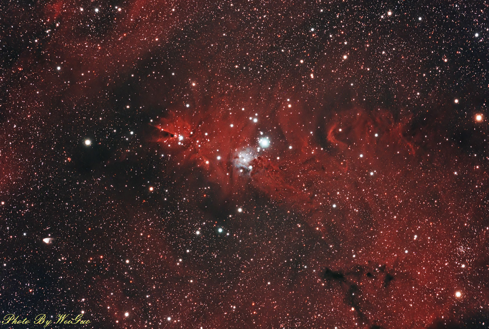 NGC2264_15c1.jpg