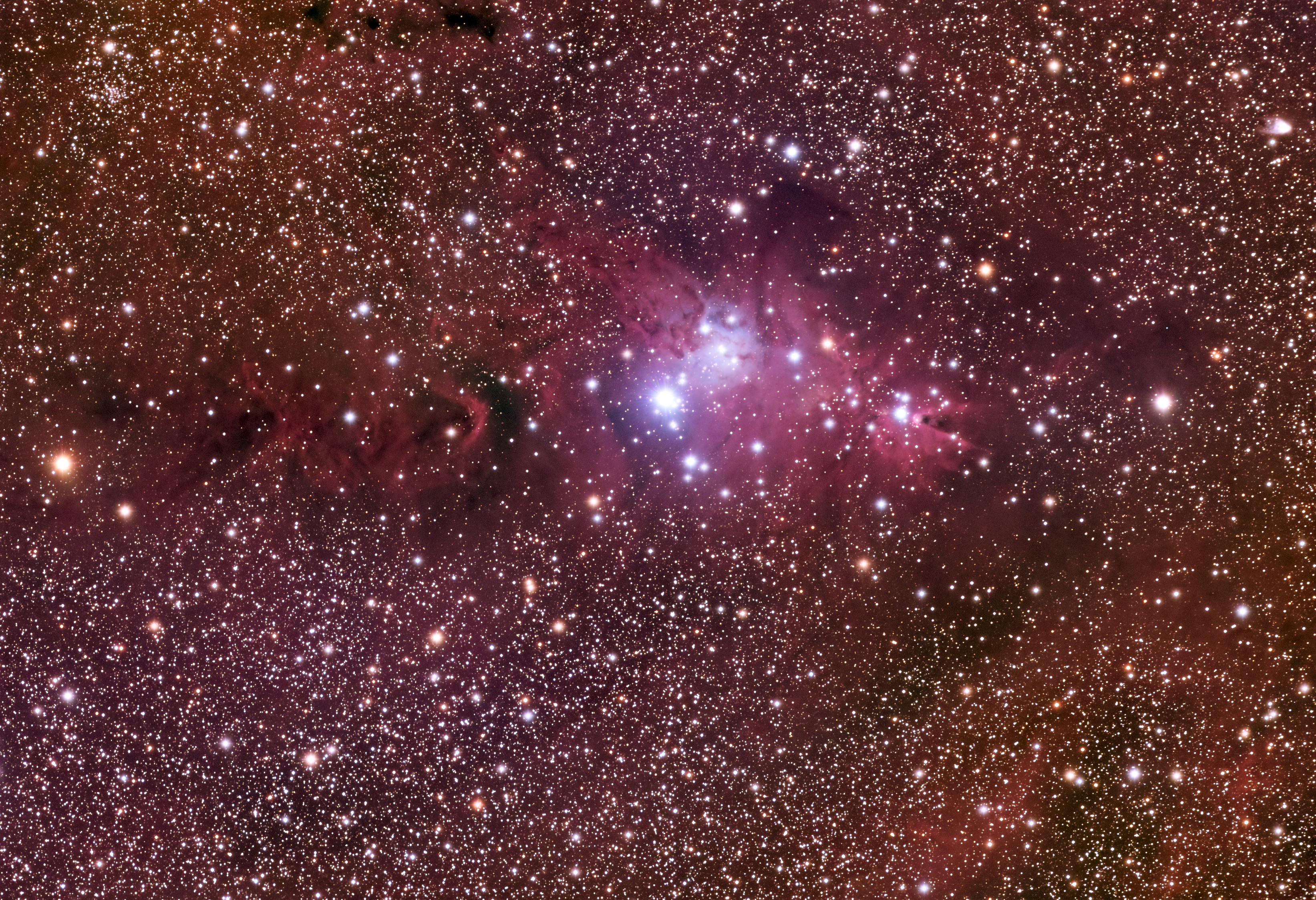 NGC2264-LRGB-600S_155P_WCS.jpg