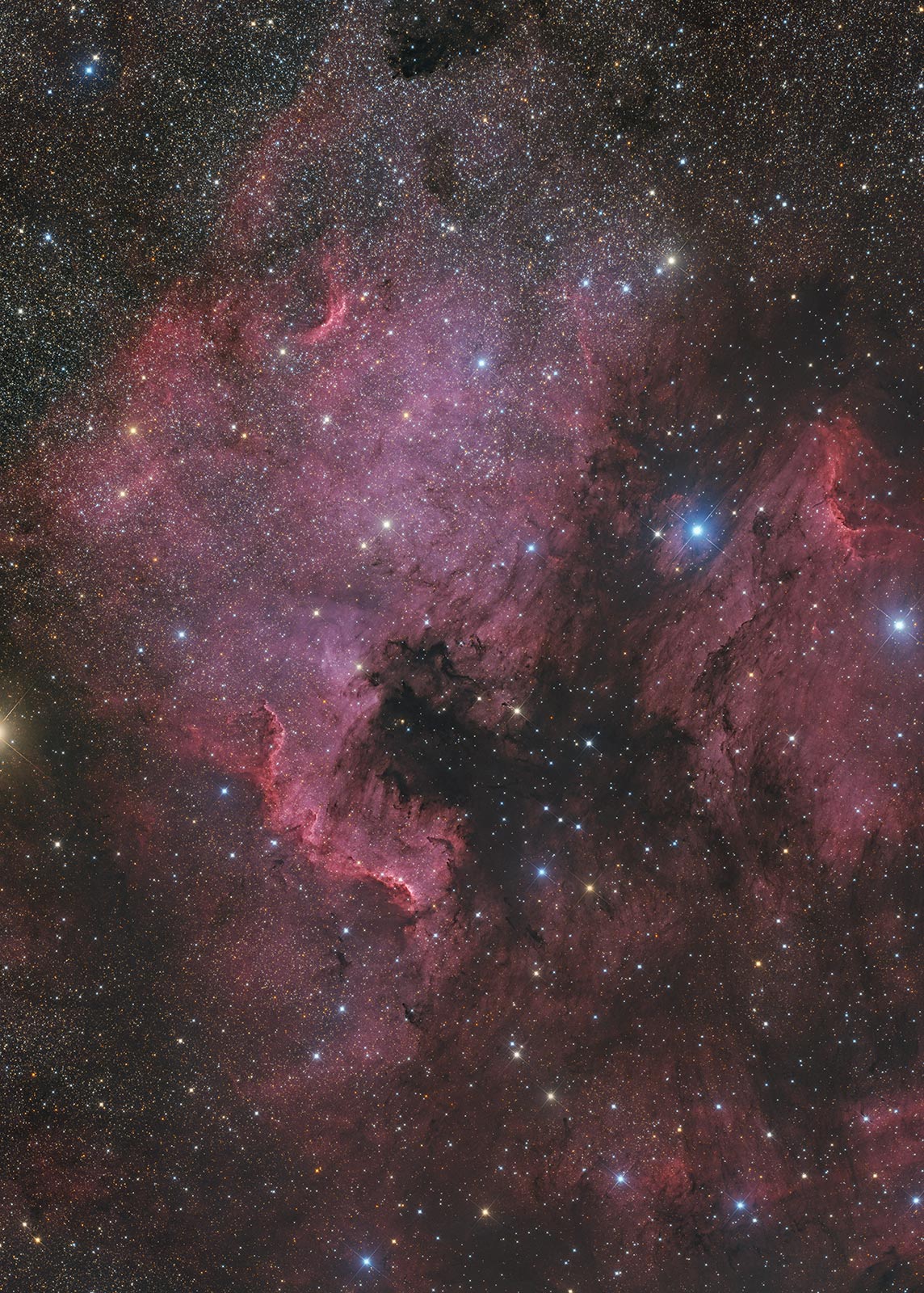 ngc7000_CN1.jpg