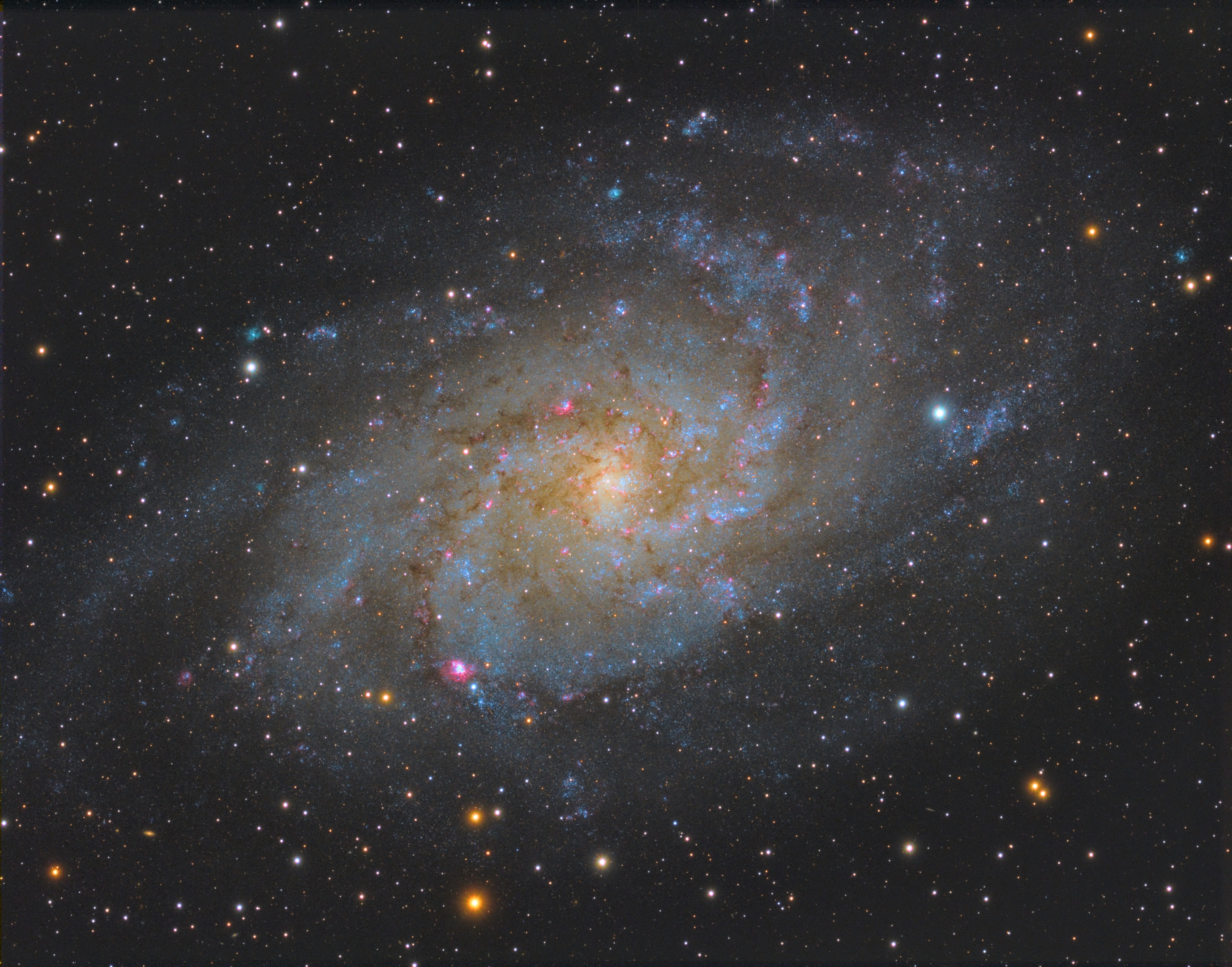 m333.jpg