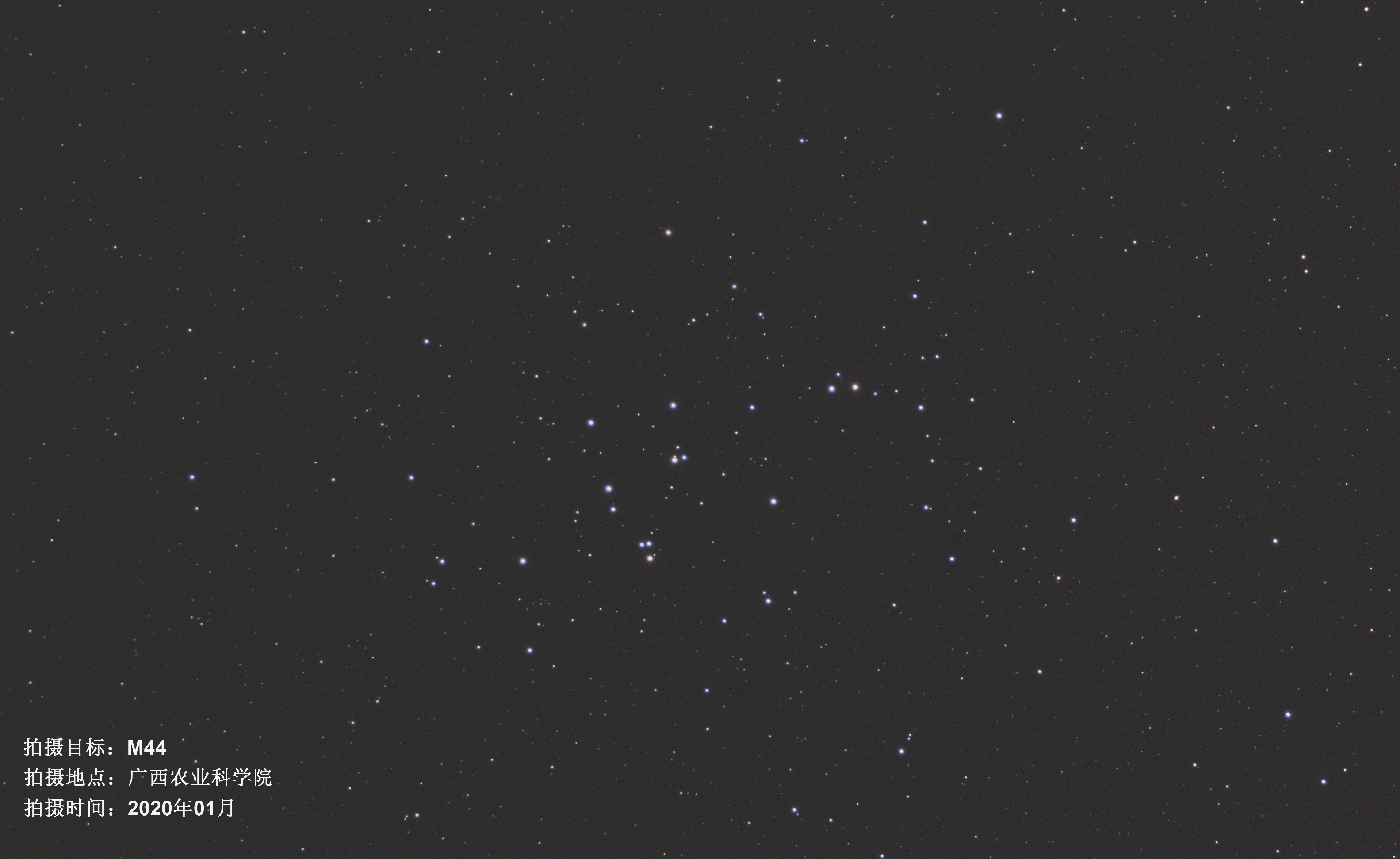 M44.jpg