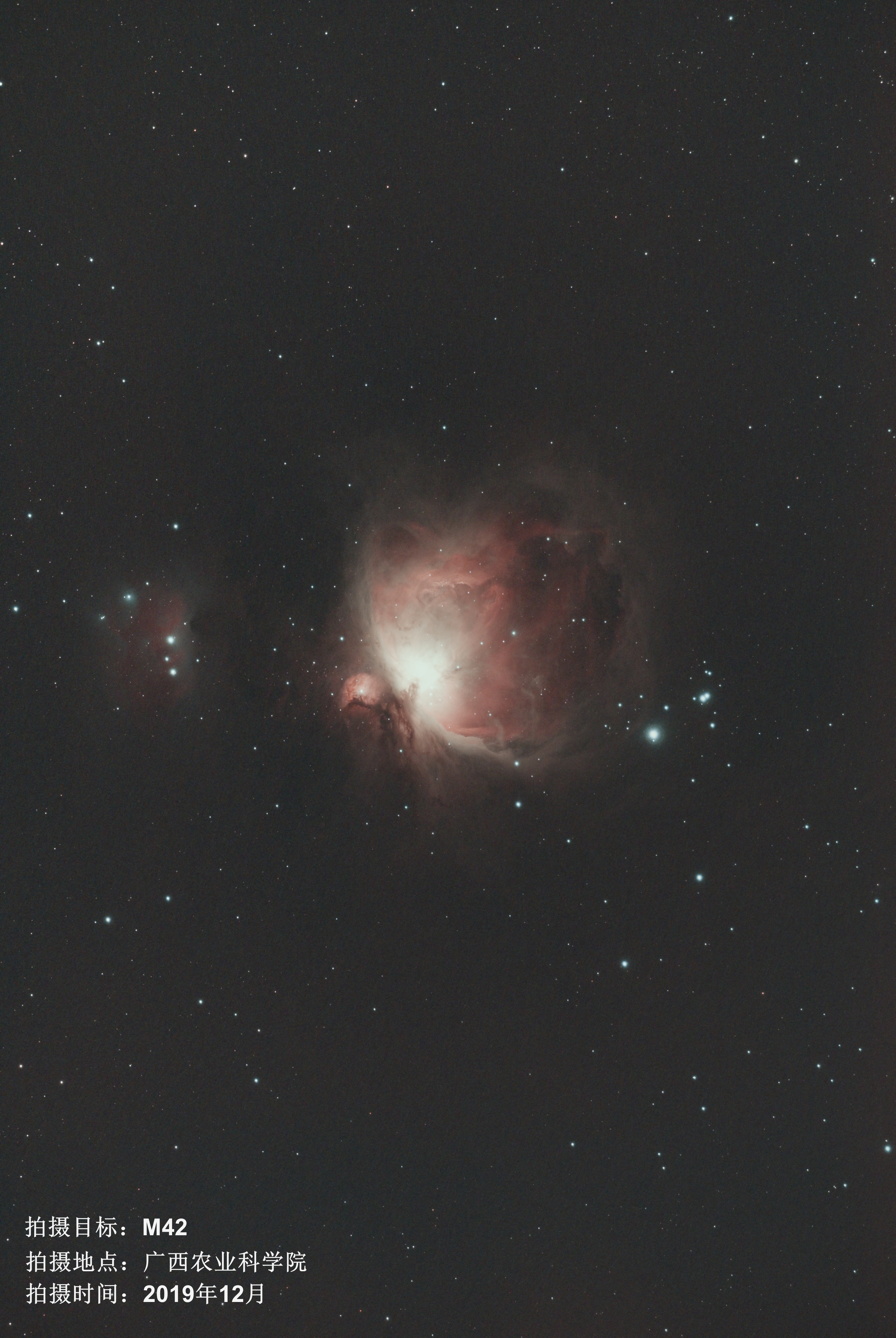 M42-02.jpg