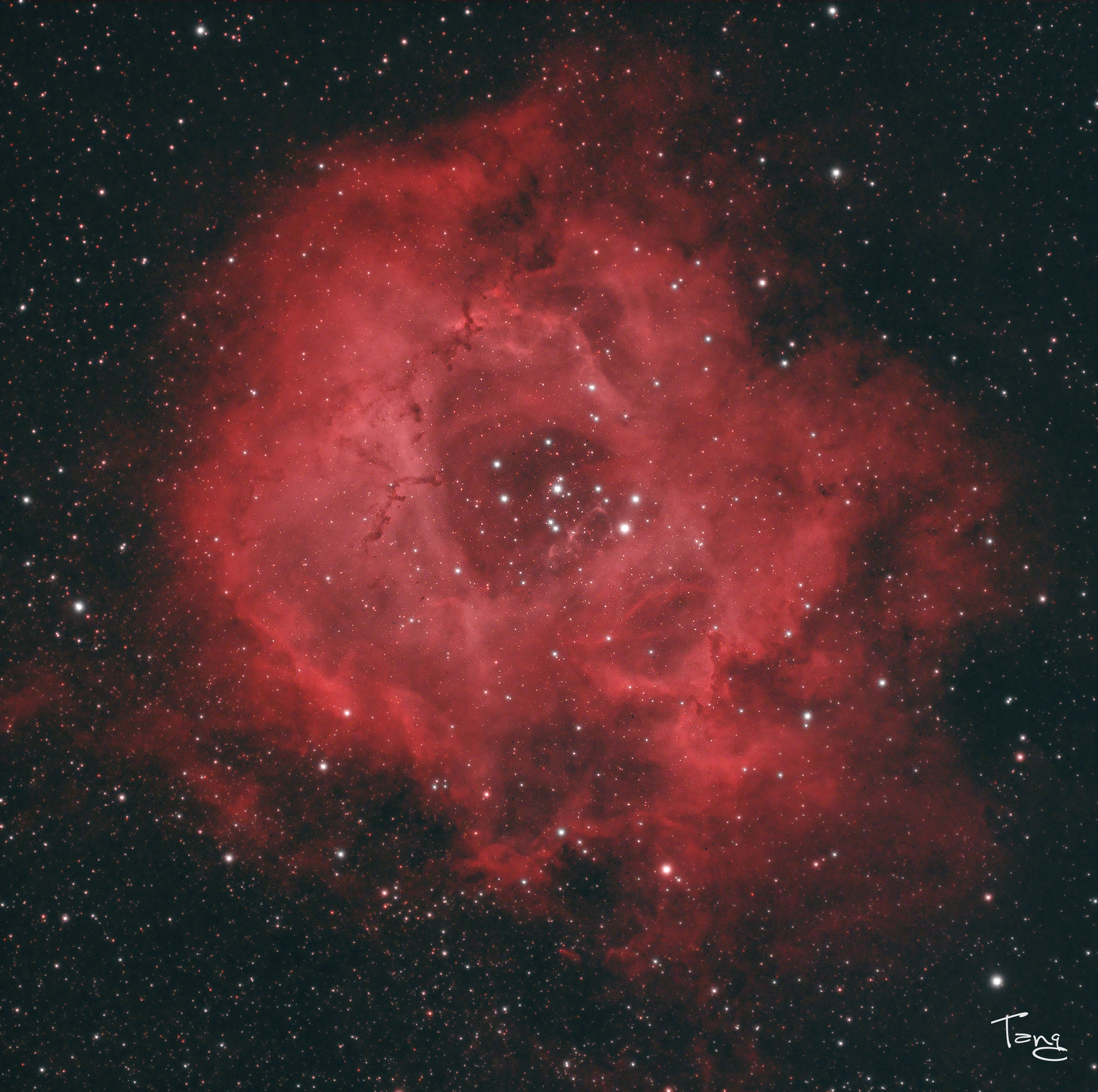 NGC2237.jpg