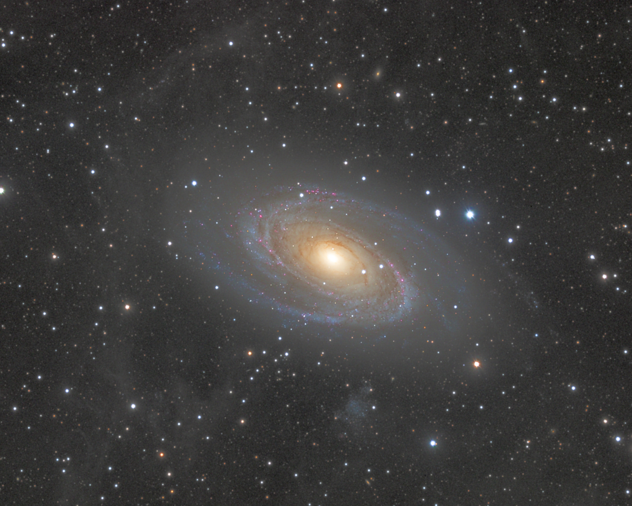 M81