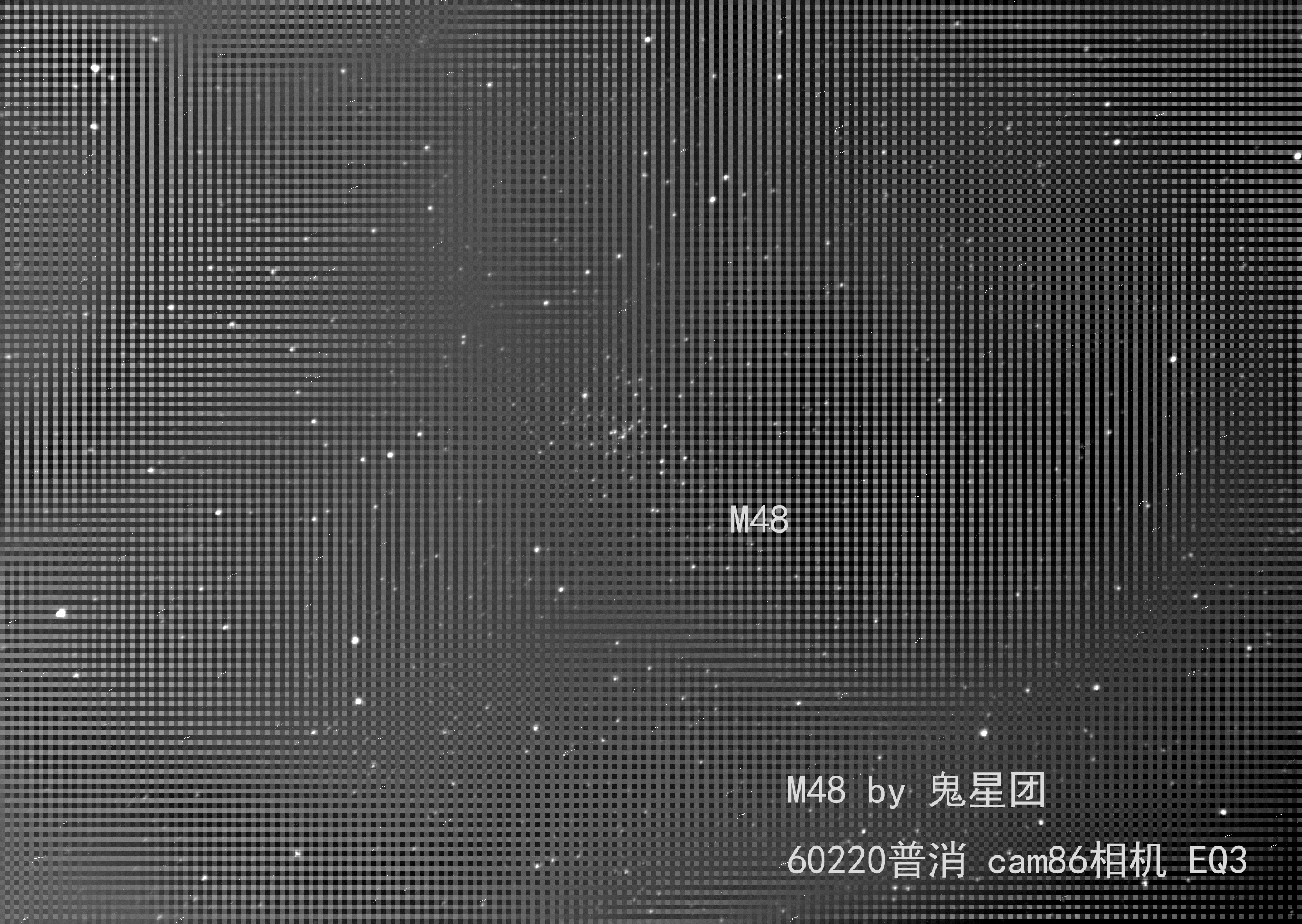 M48.jpg