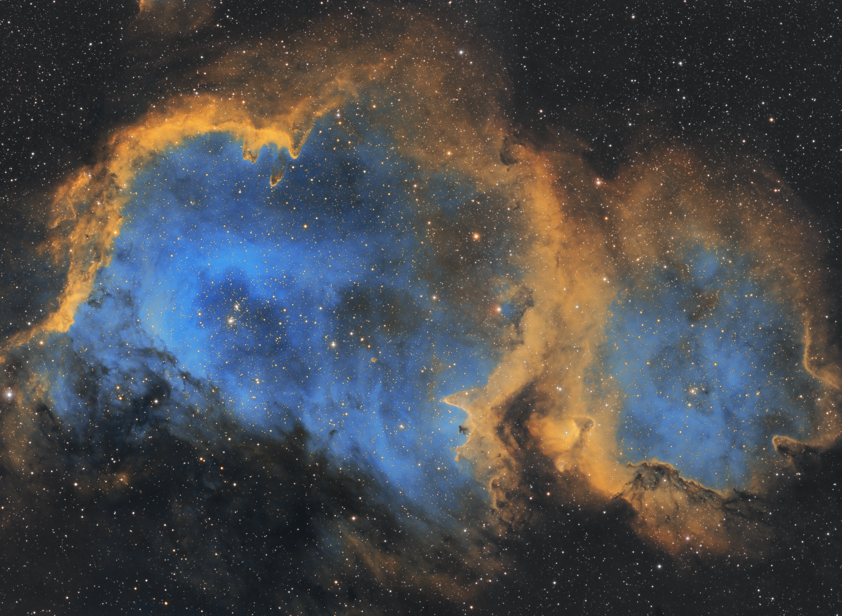 ic1848_sho_0213.png