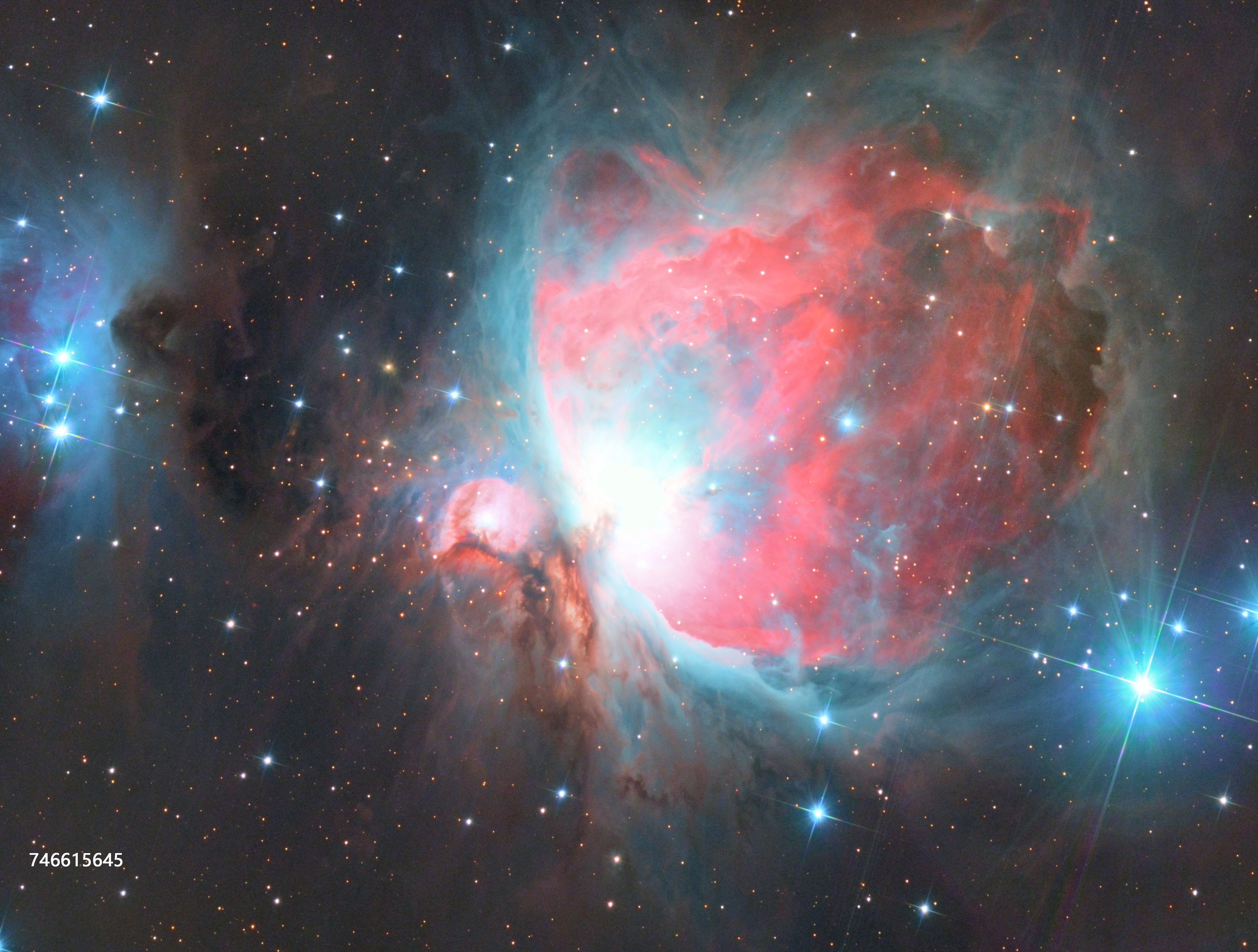 m42-6.jpg