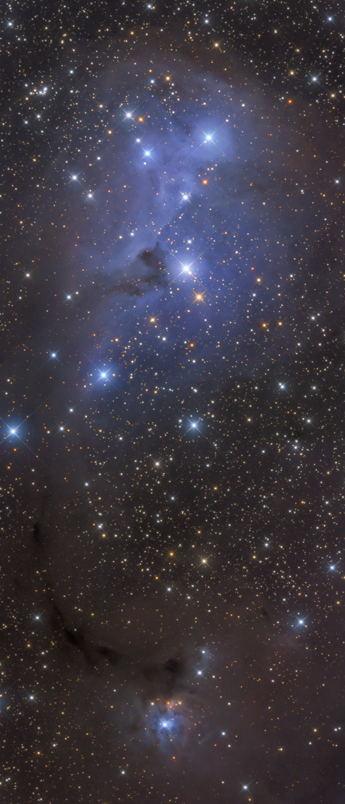 ic2169_D_CNs.jpg