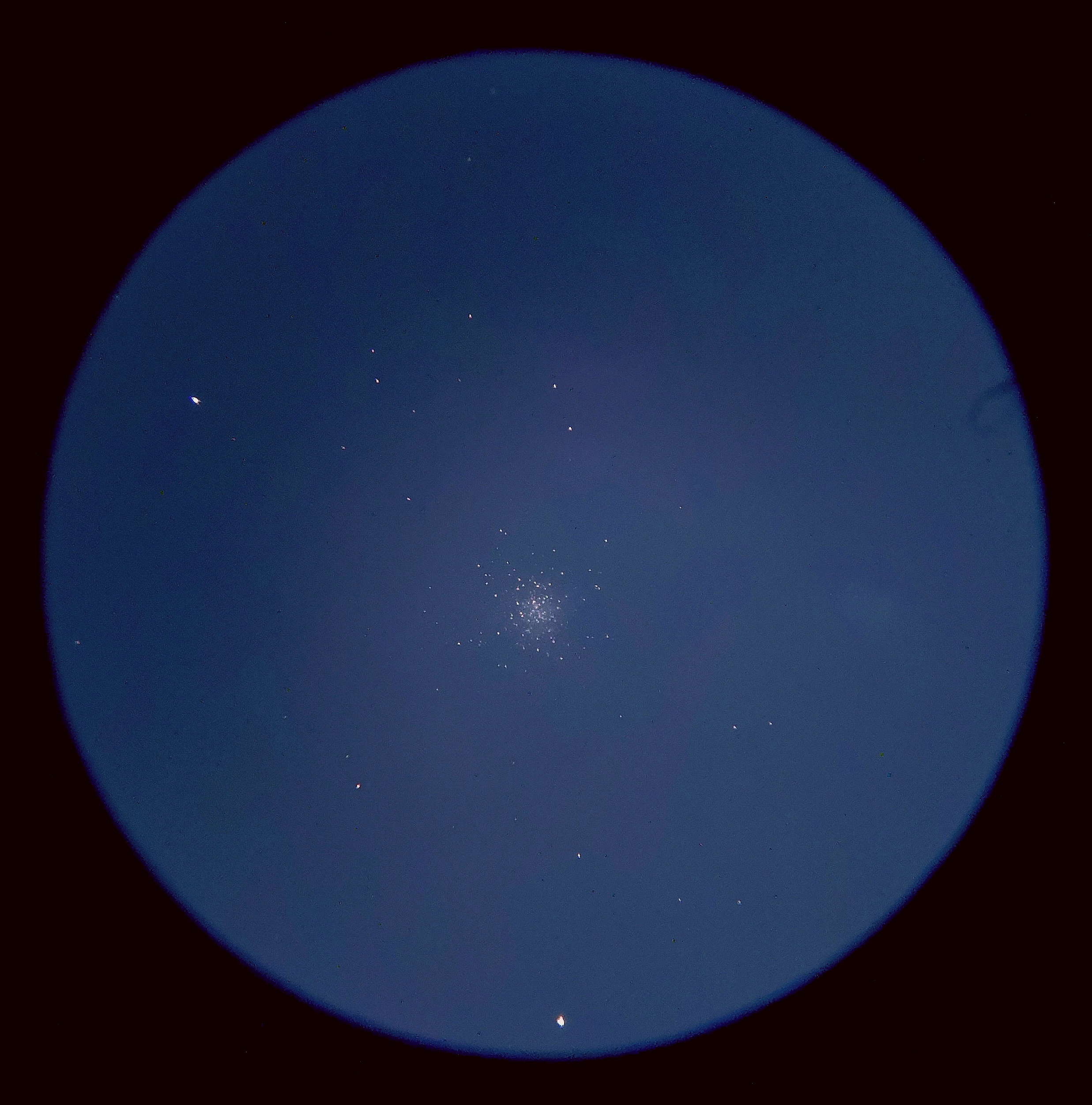 M13.jpg