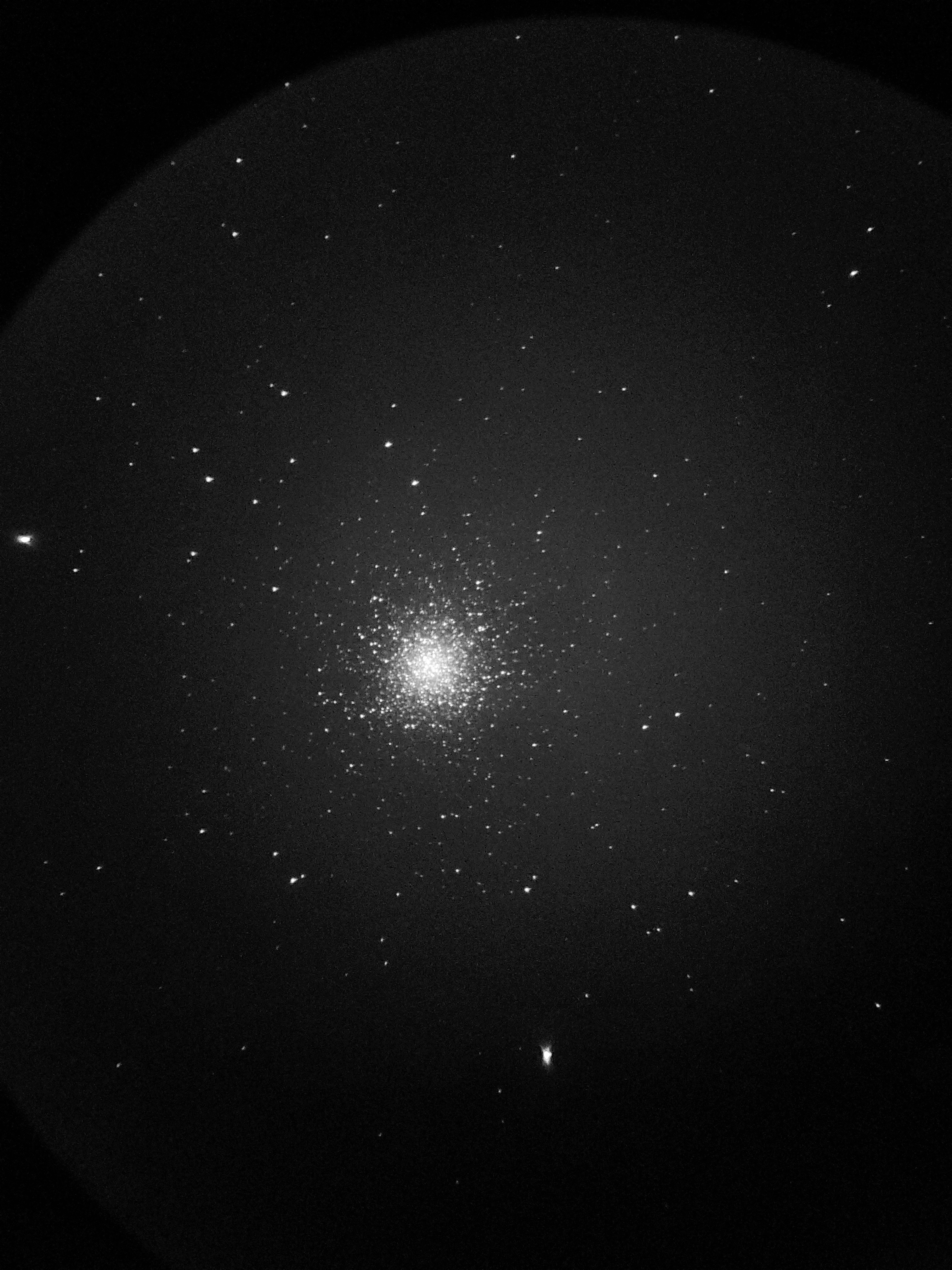 M13.jpg