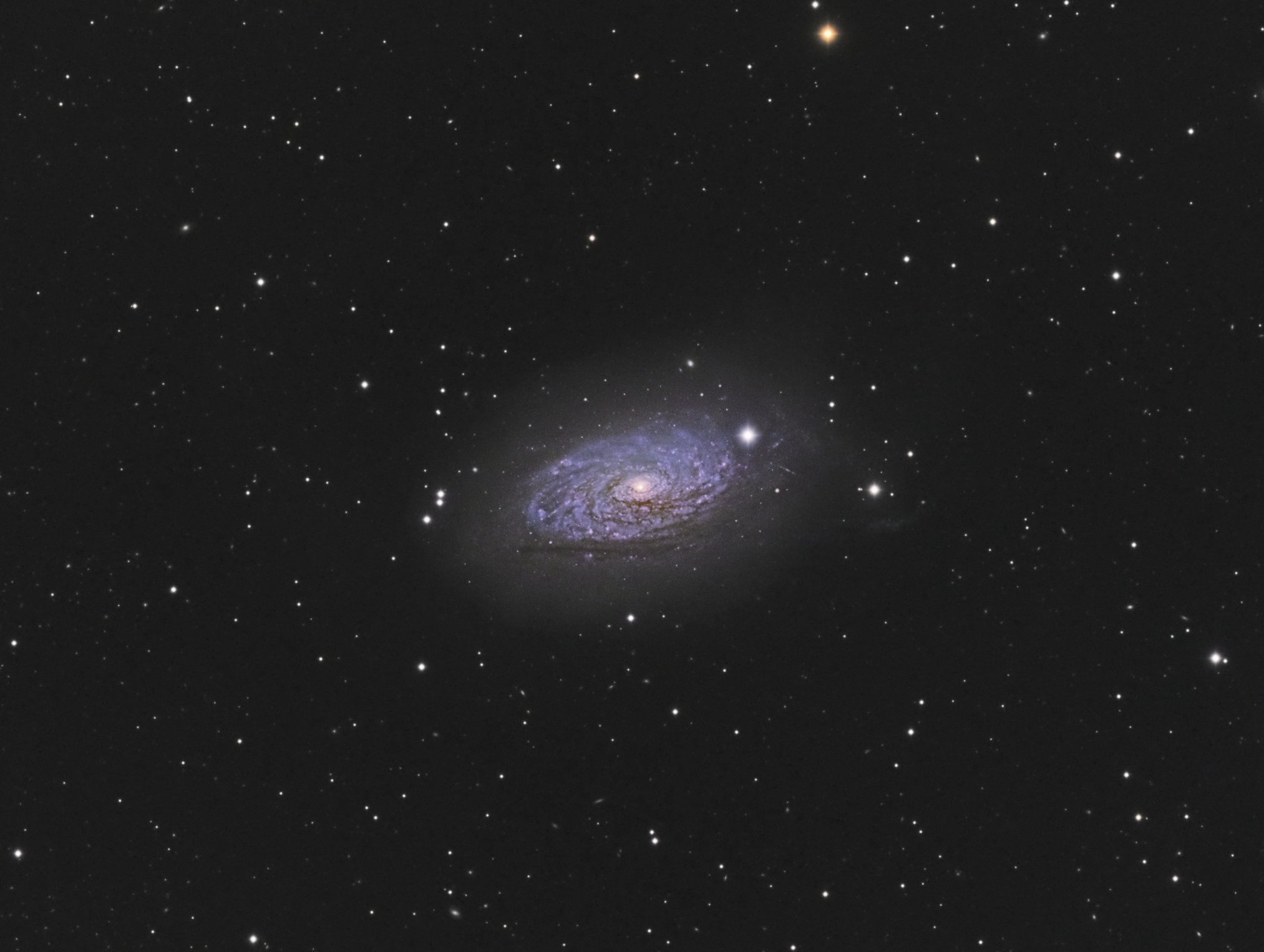 M63_pass3_LRGB_final_cropped.jpg