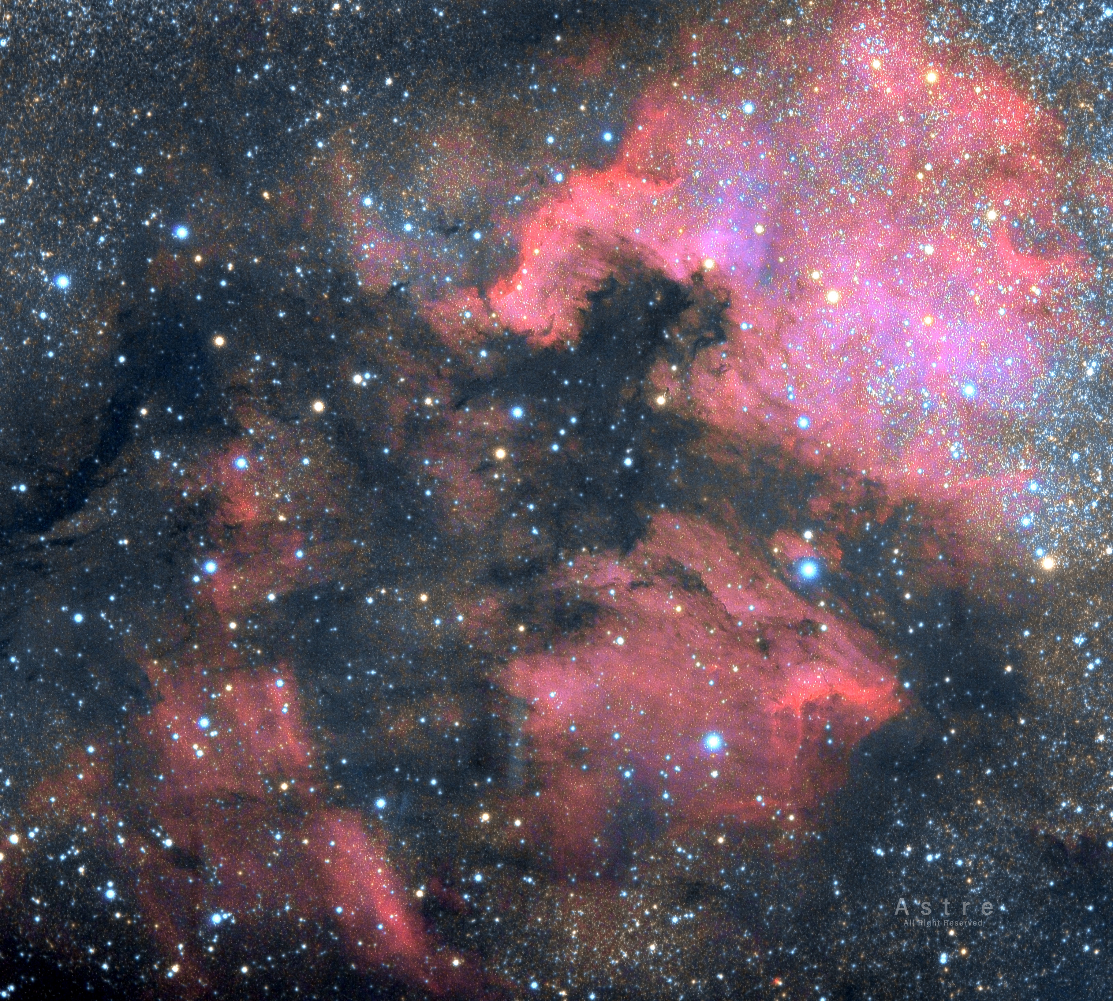 NGC7000.jpg