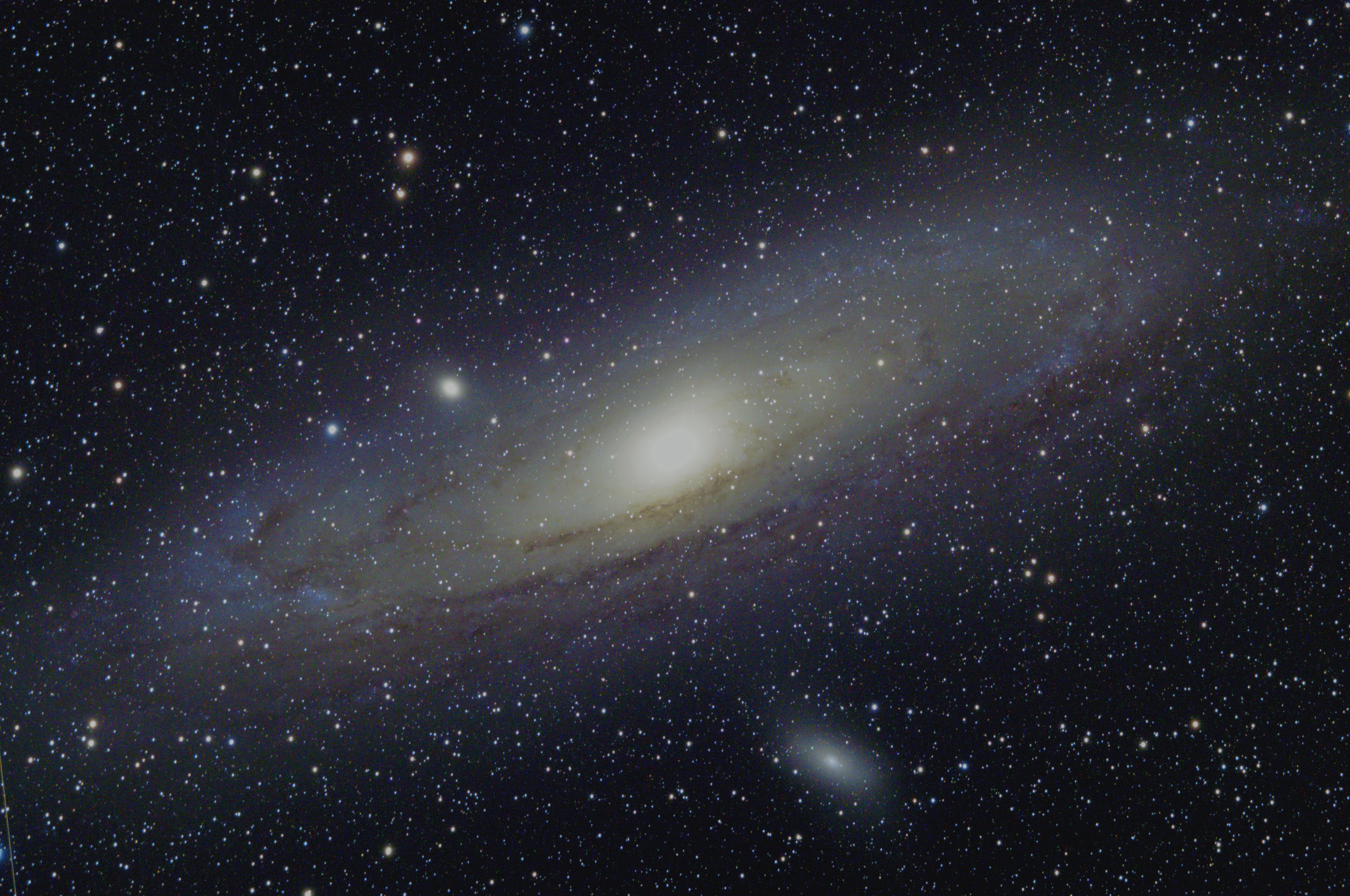 M31