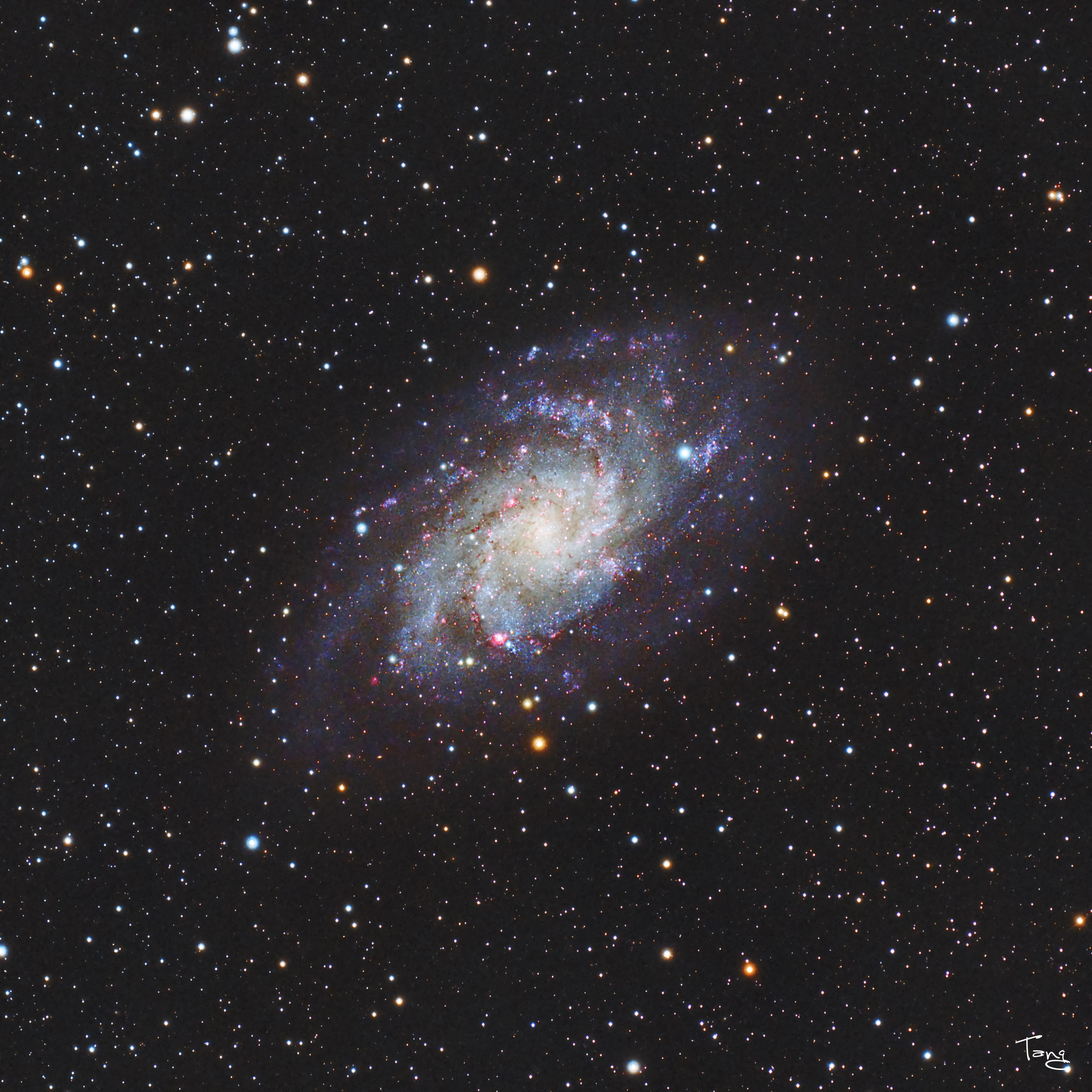 M33