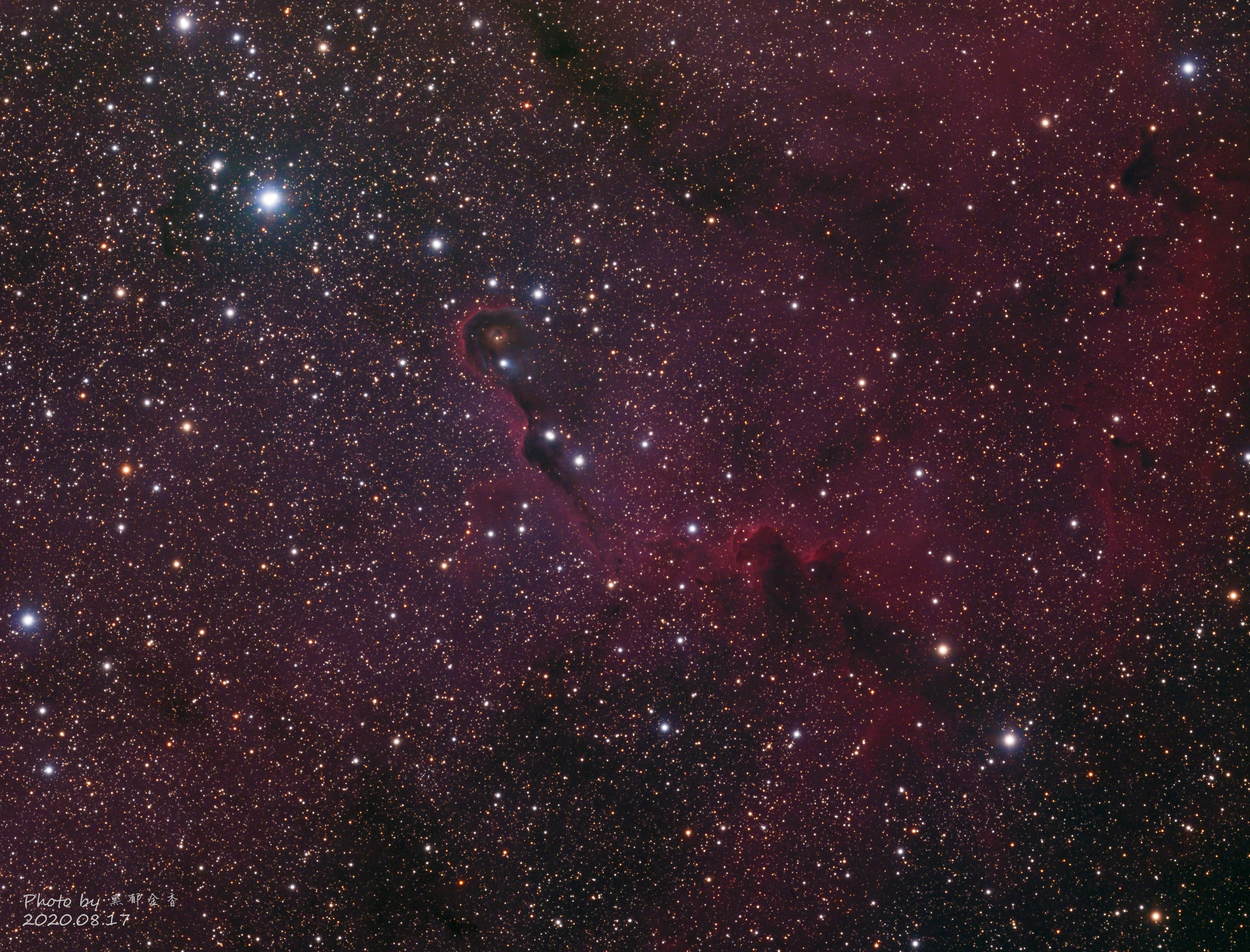 IC1396_20200823s_small.jpg