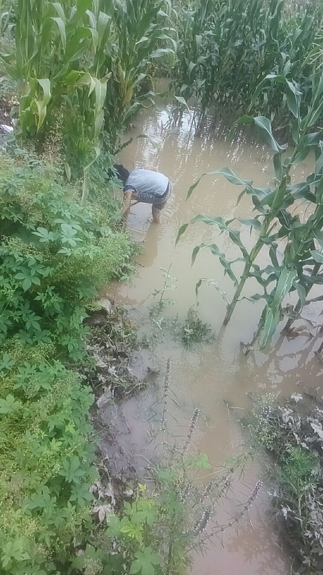 邻居出门