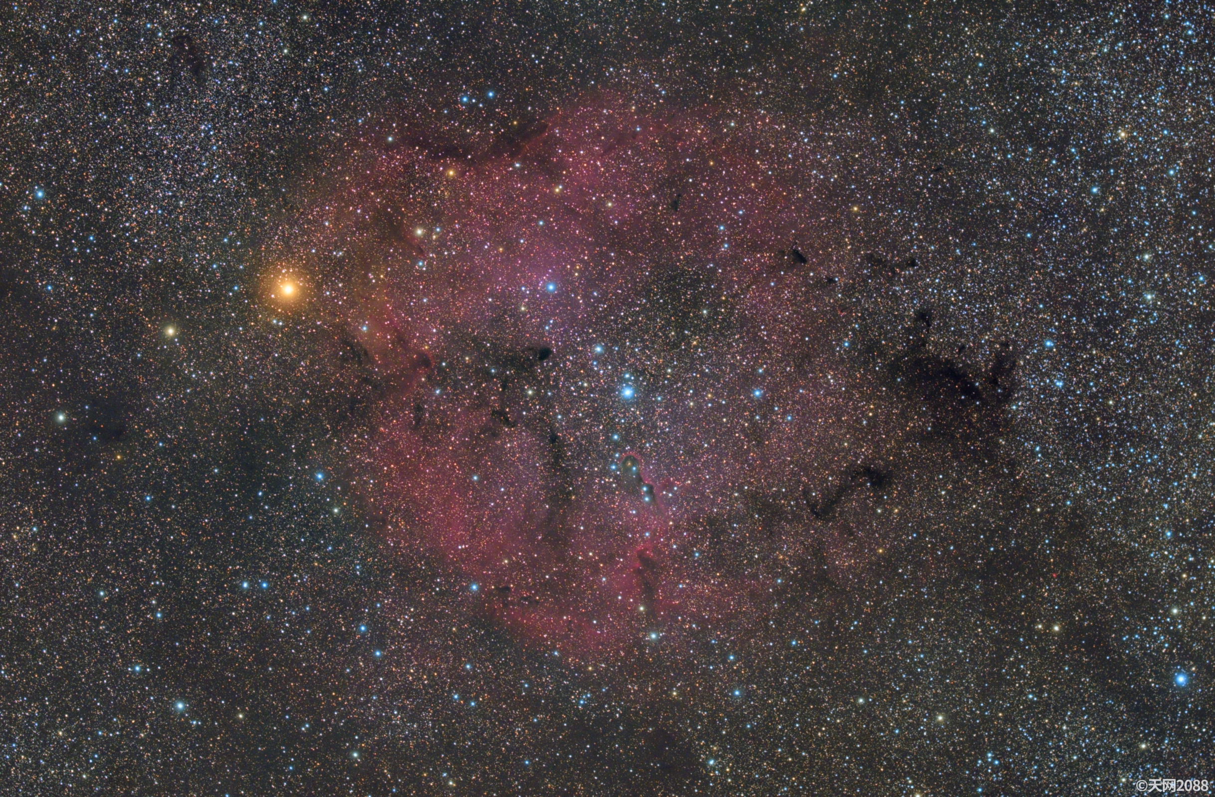 IC1396BIN.jpg