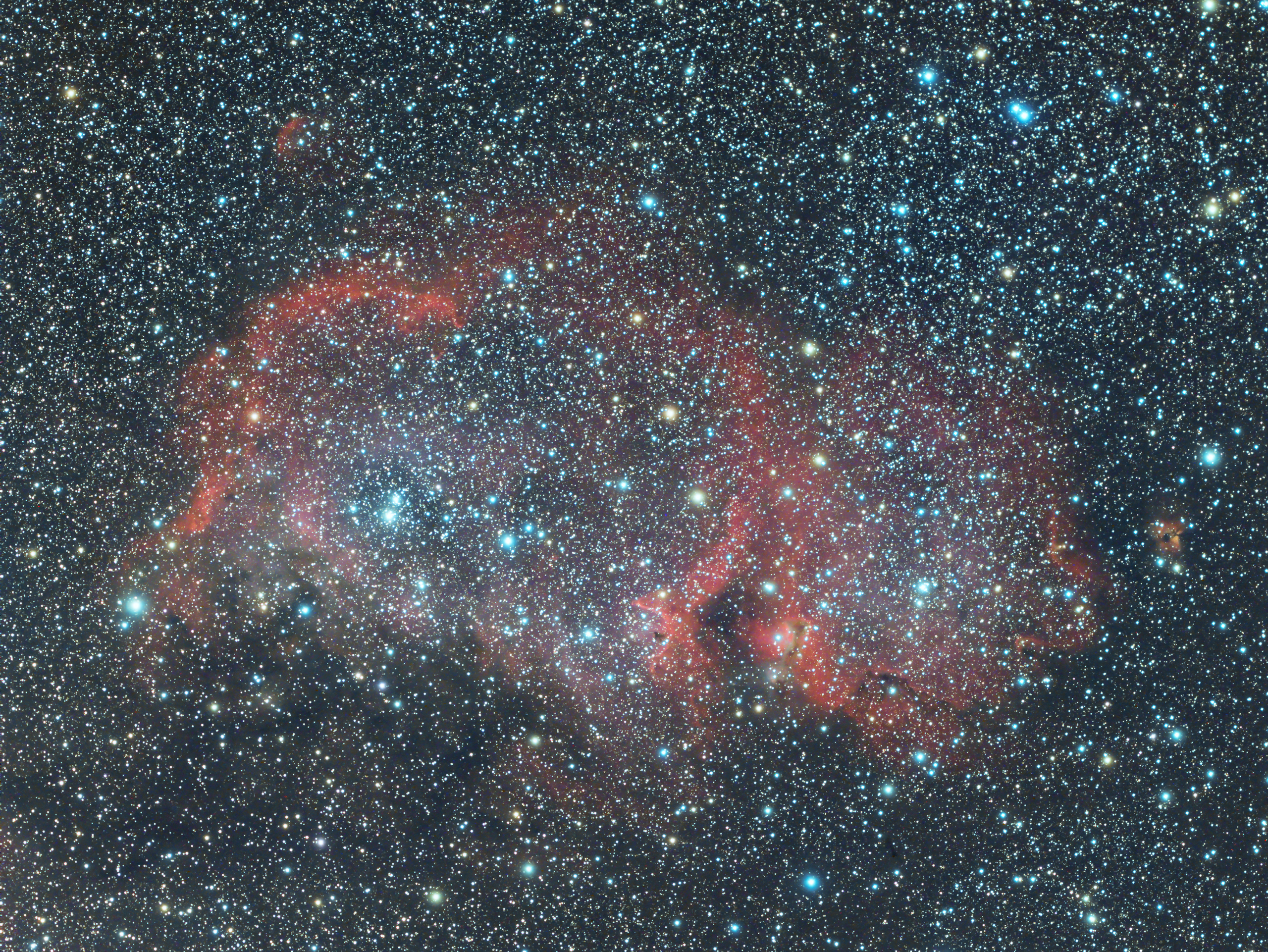 ic1848.jpg