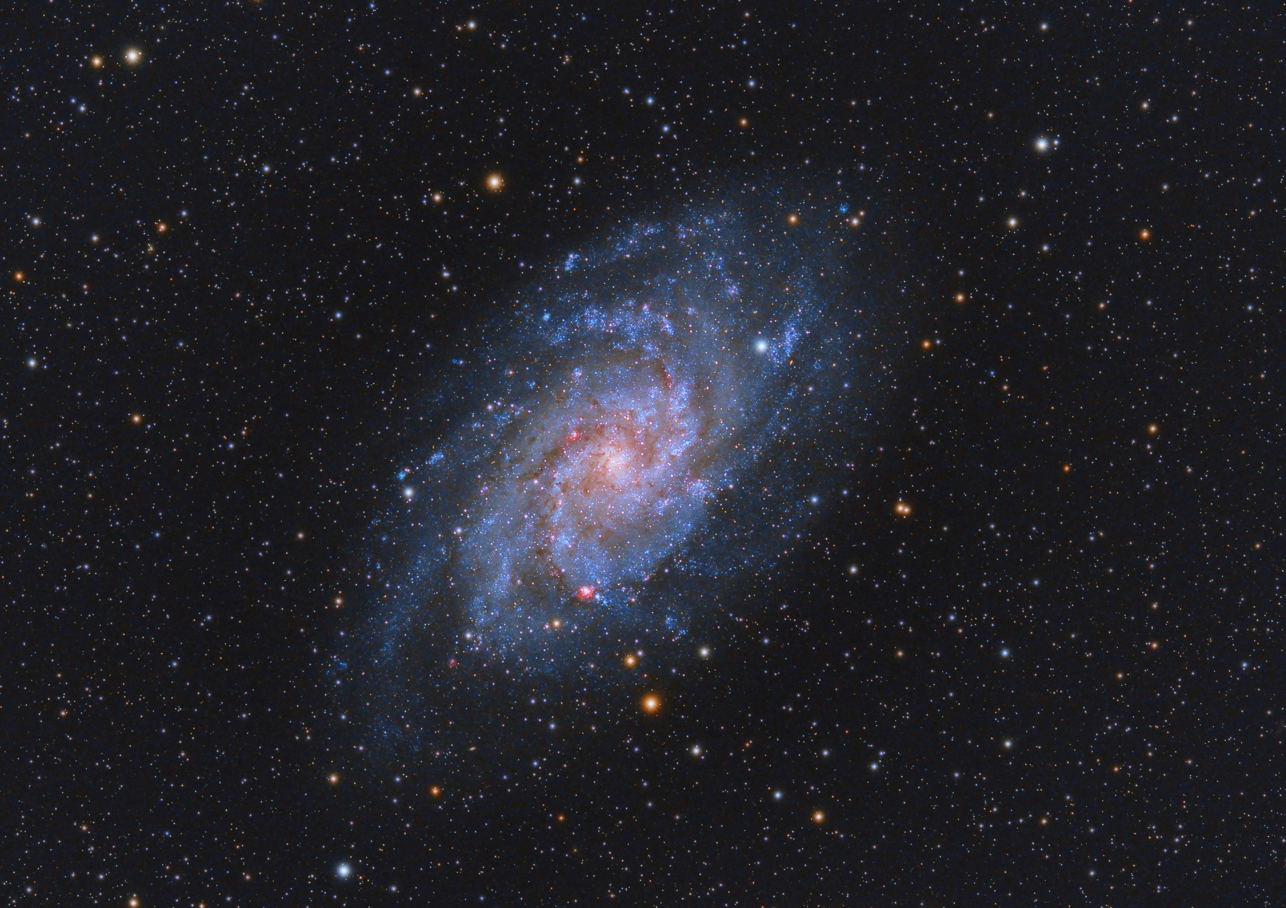 M33