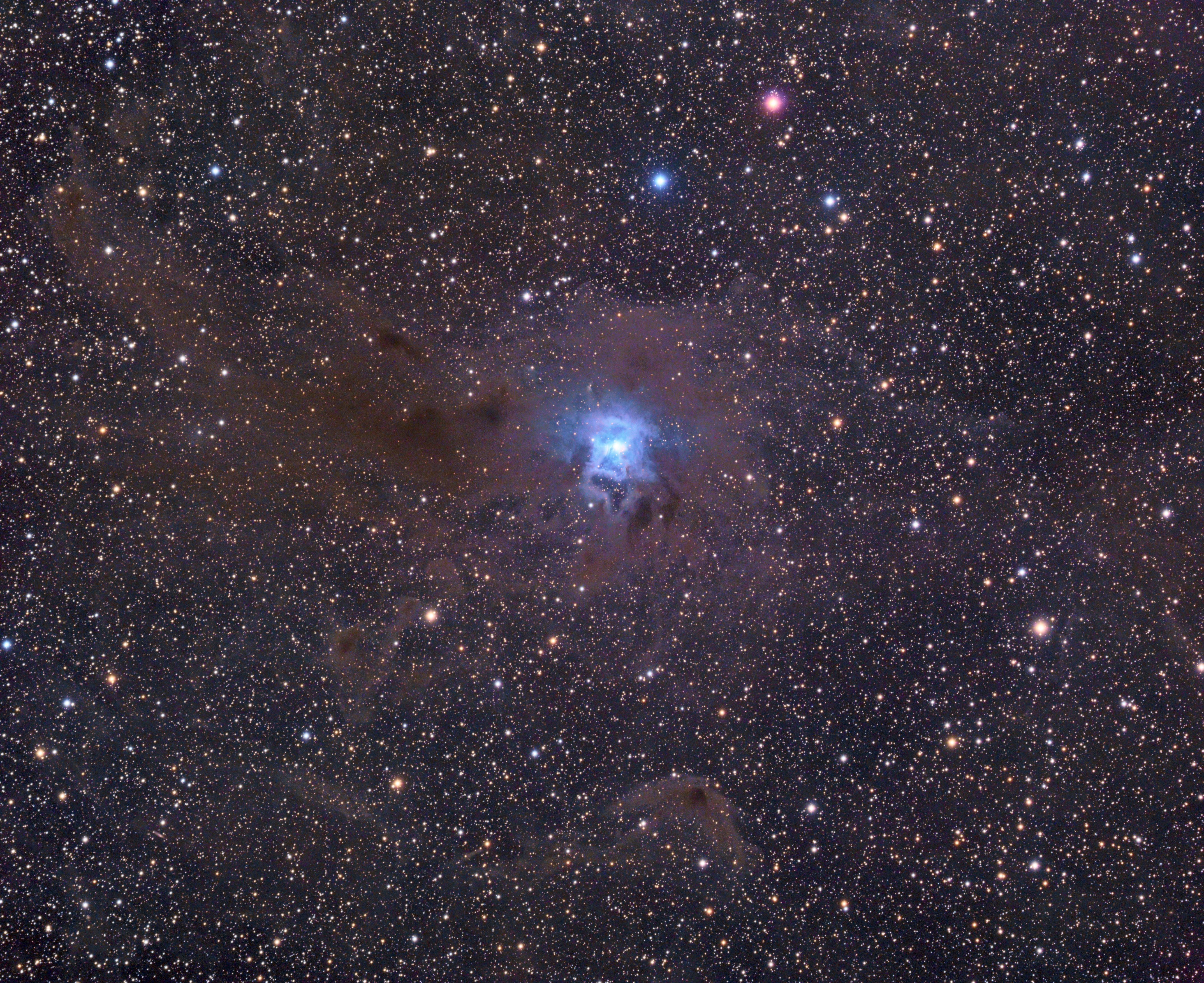 NGC--7023.jpg