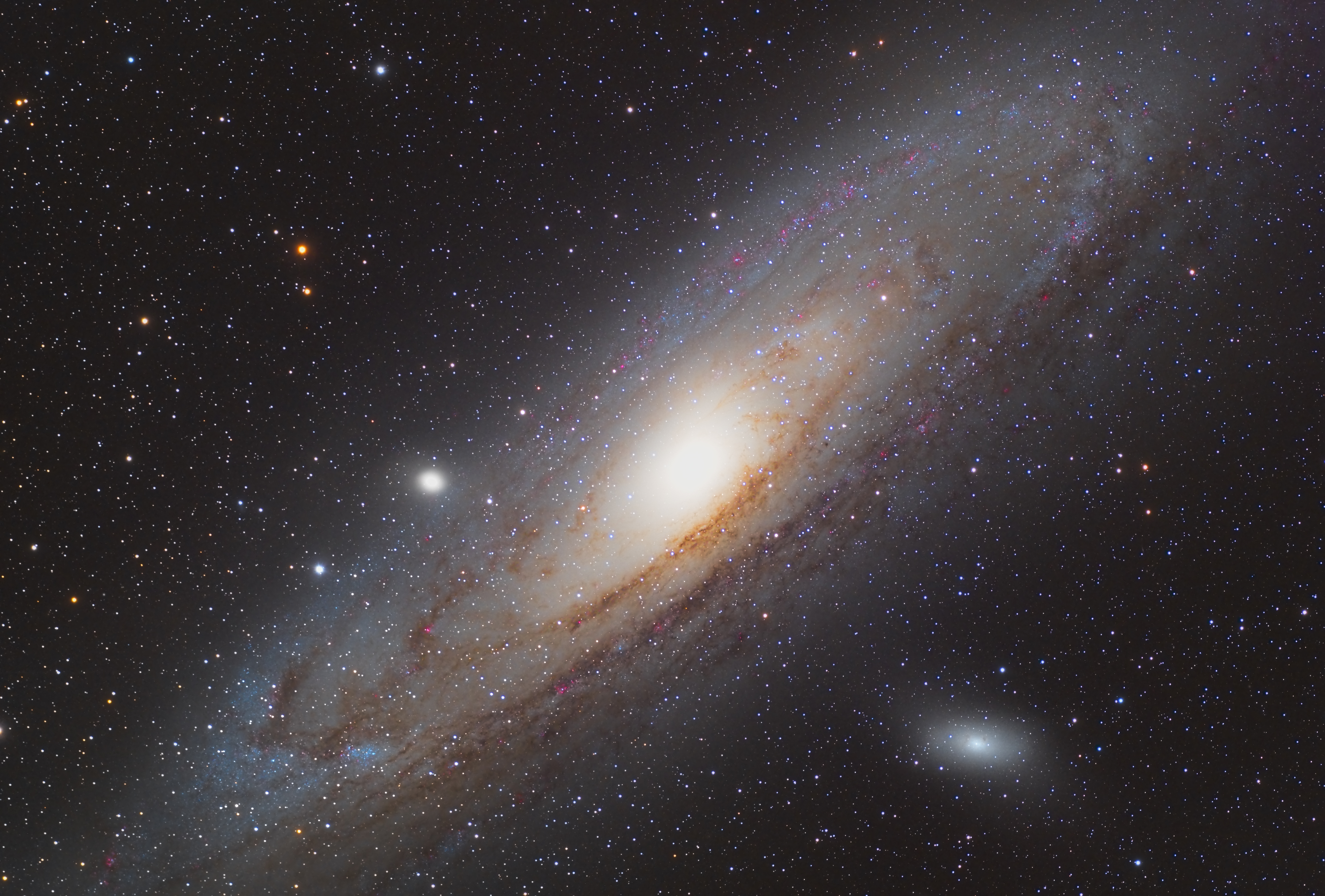 M31