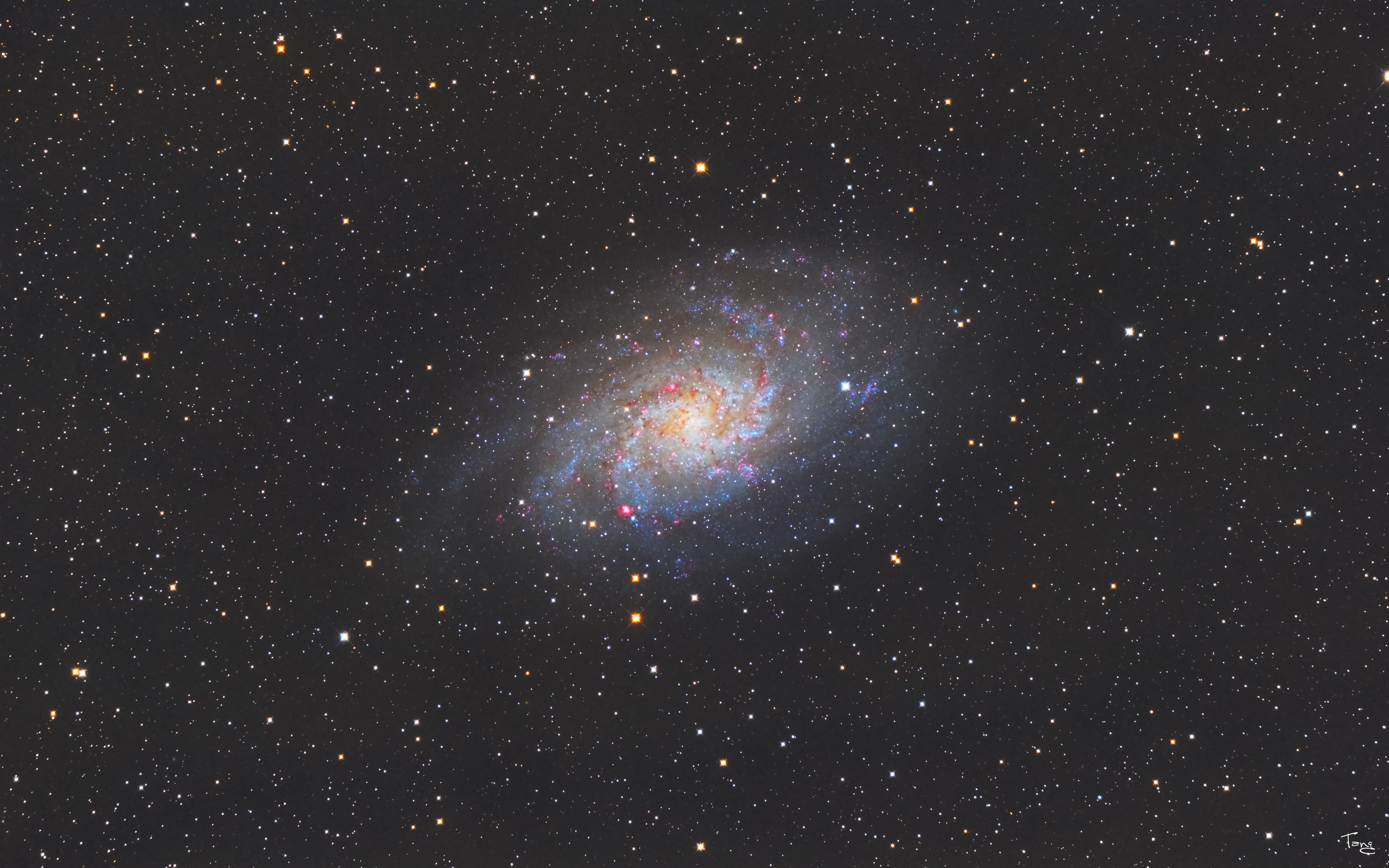 M33