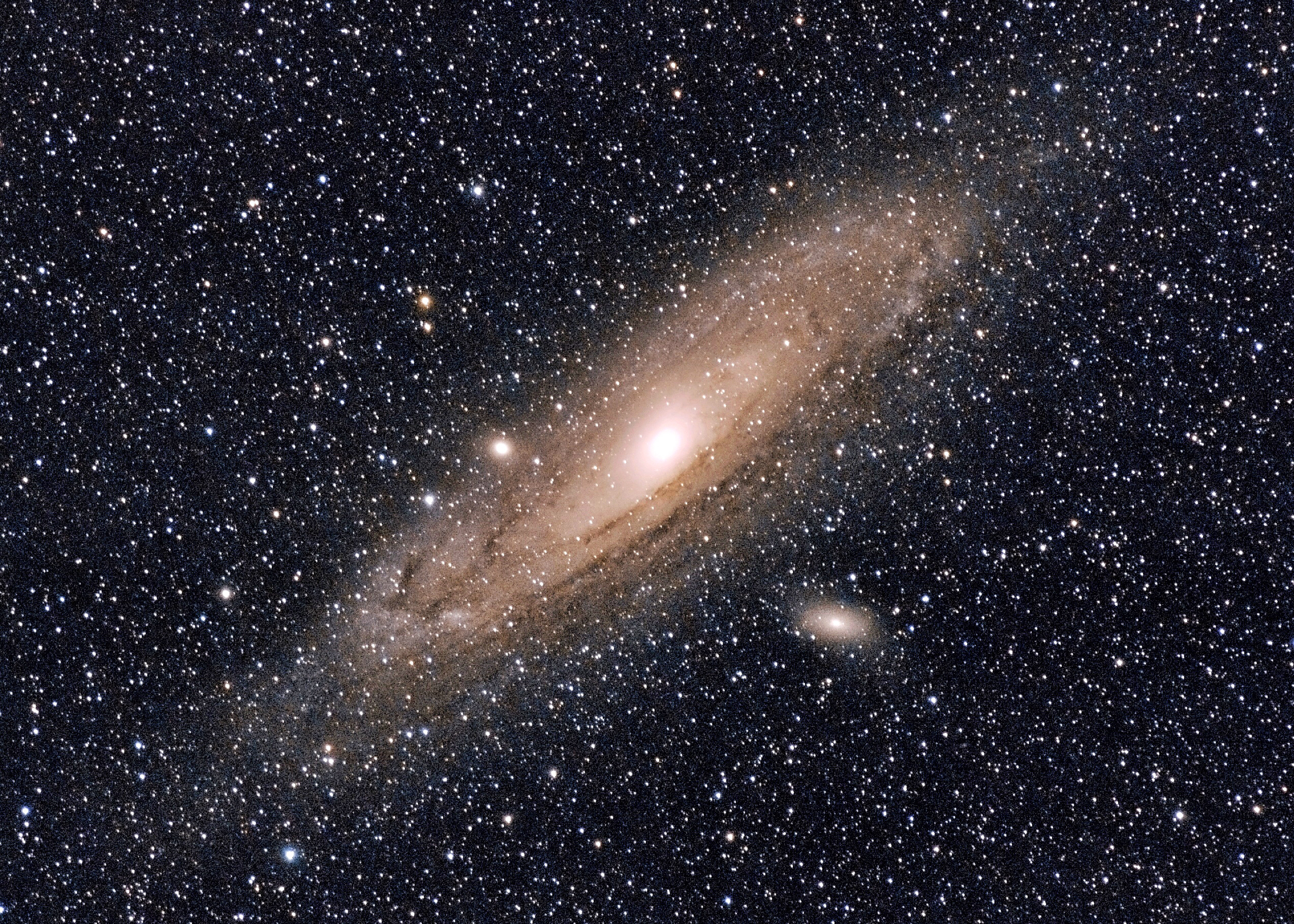 M31