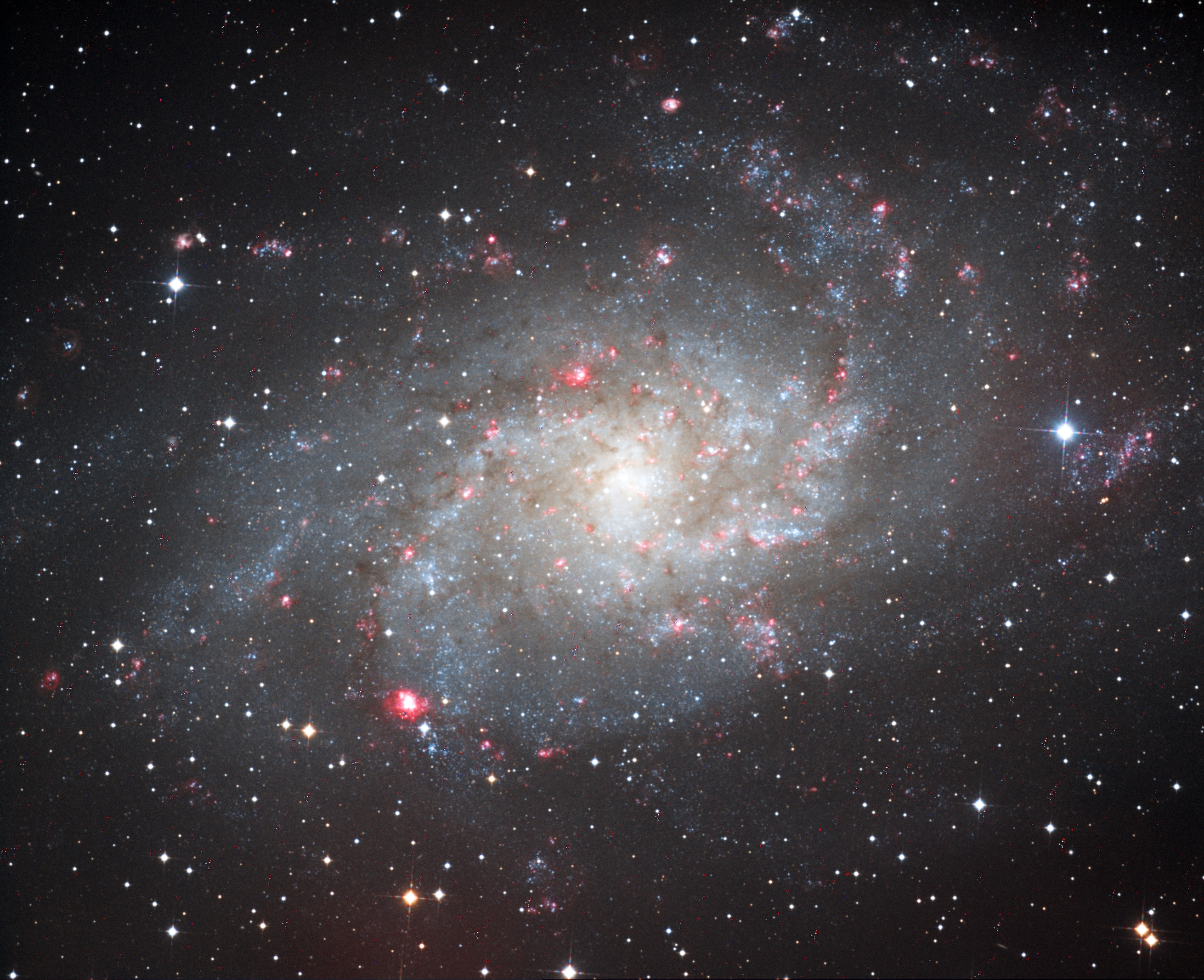 M33