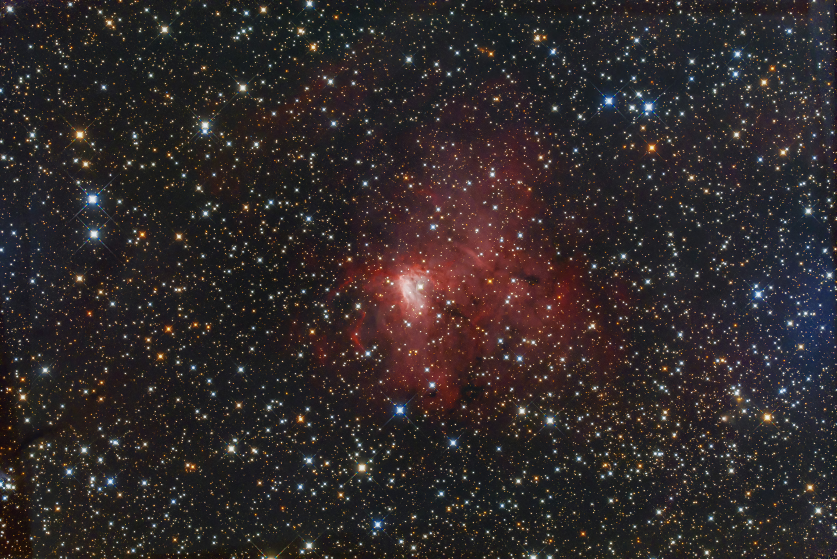 ngc1491_20201121_bin2.jpg