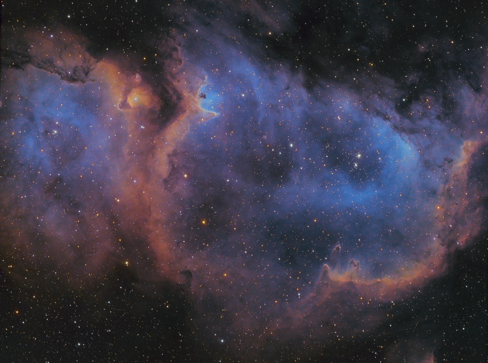 IC1848_SHO_Final_50.jpg