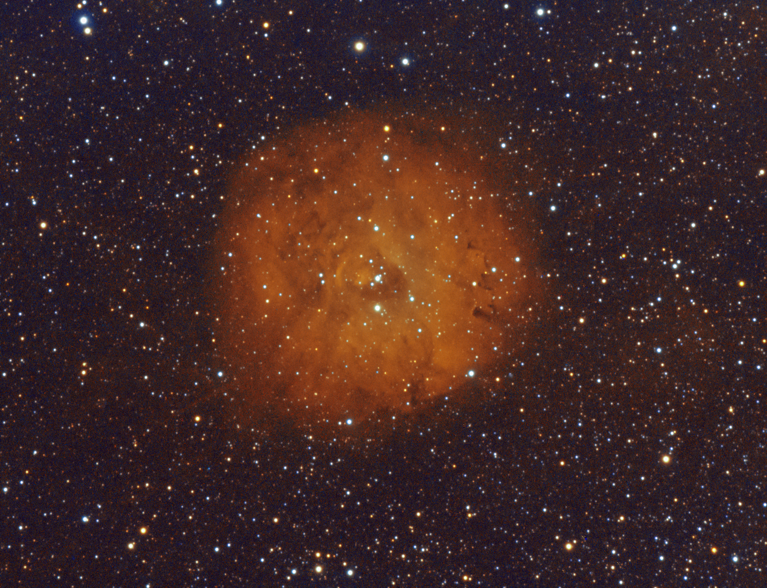 小玫瑰星云 SH 2-170.jpg