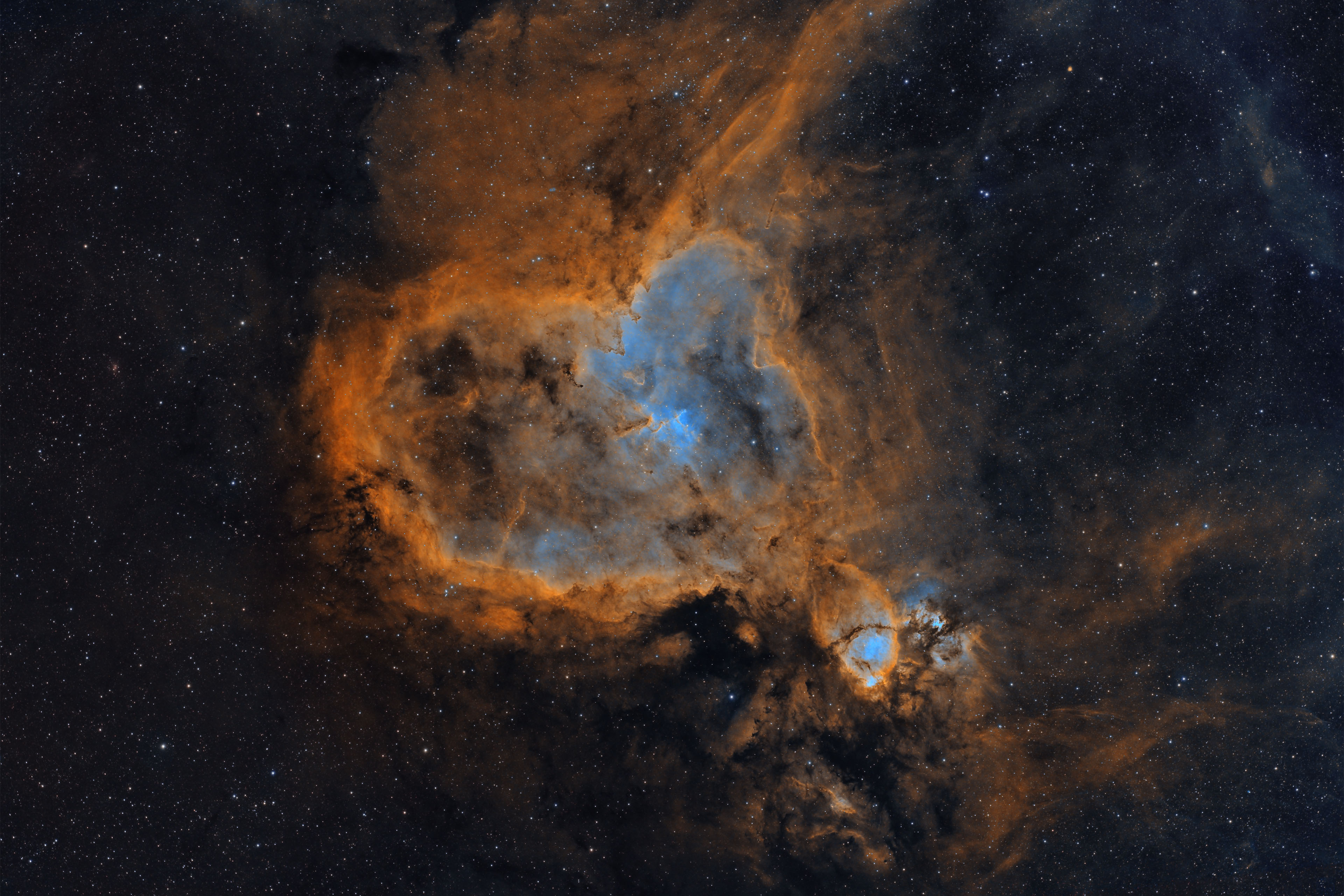 IC1805_SHO2.jpg