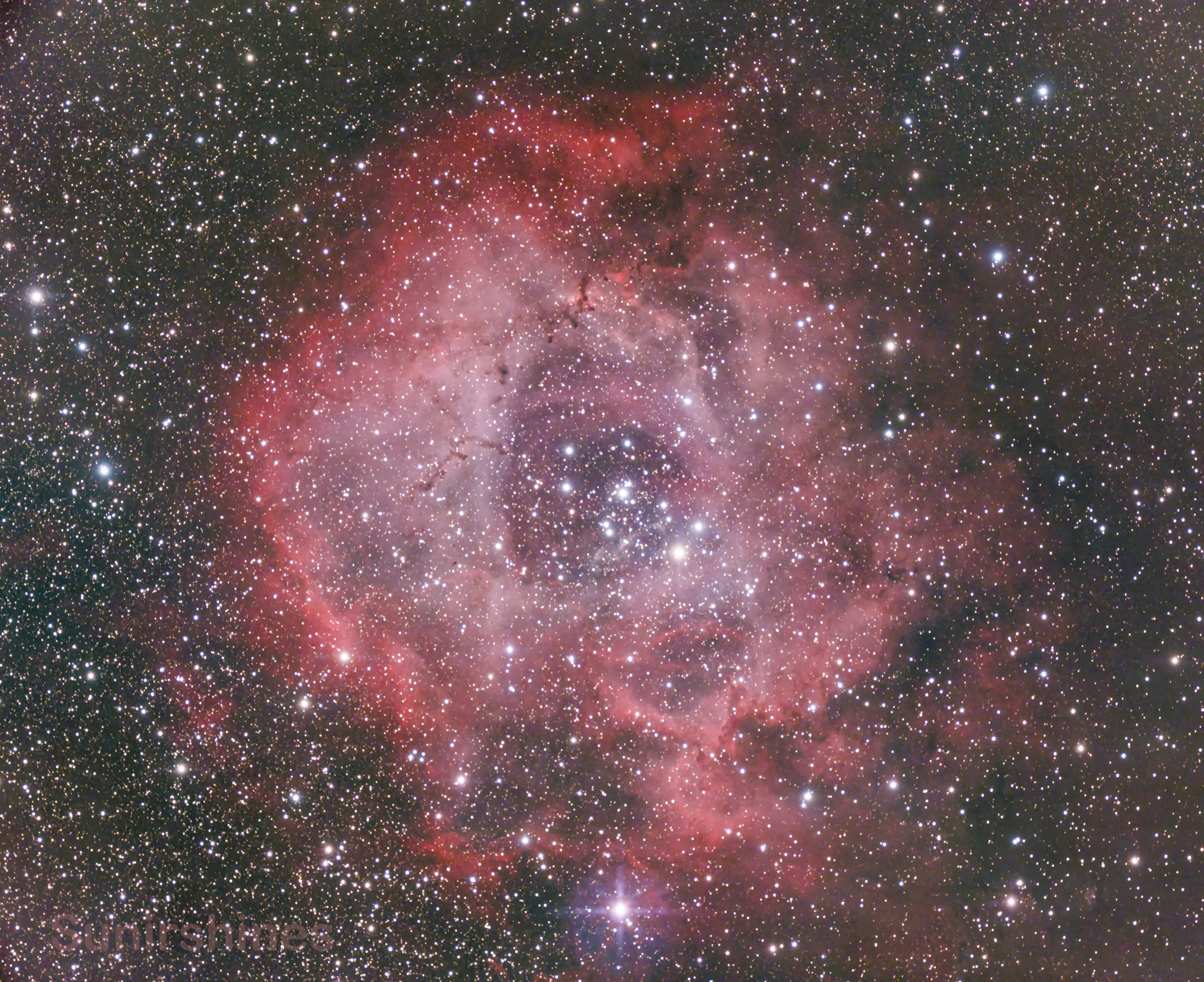 Rosette_V1_DBE ACR small.jpg