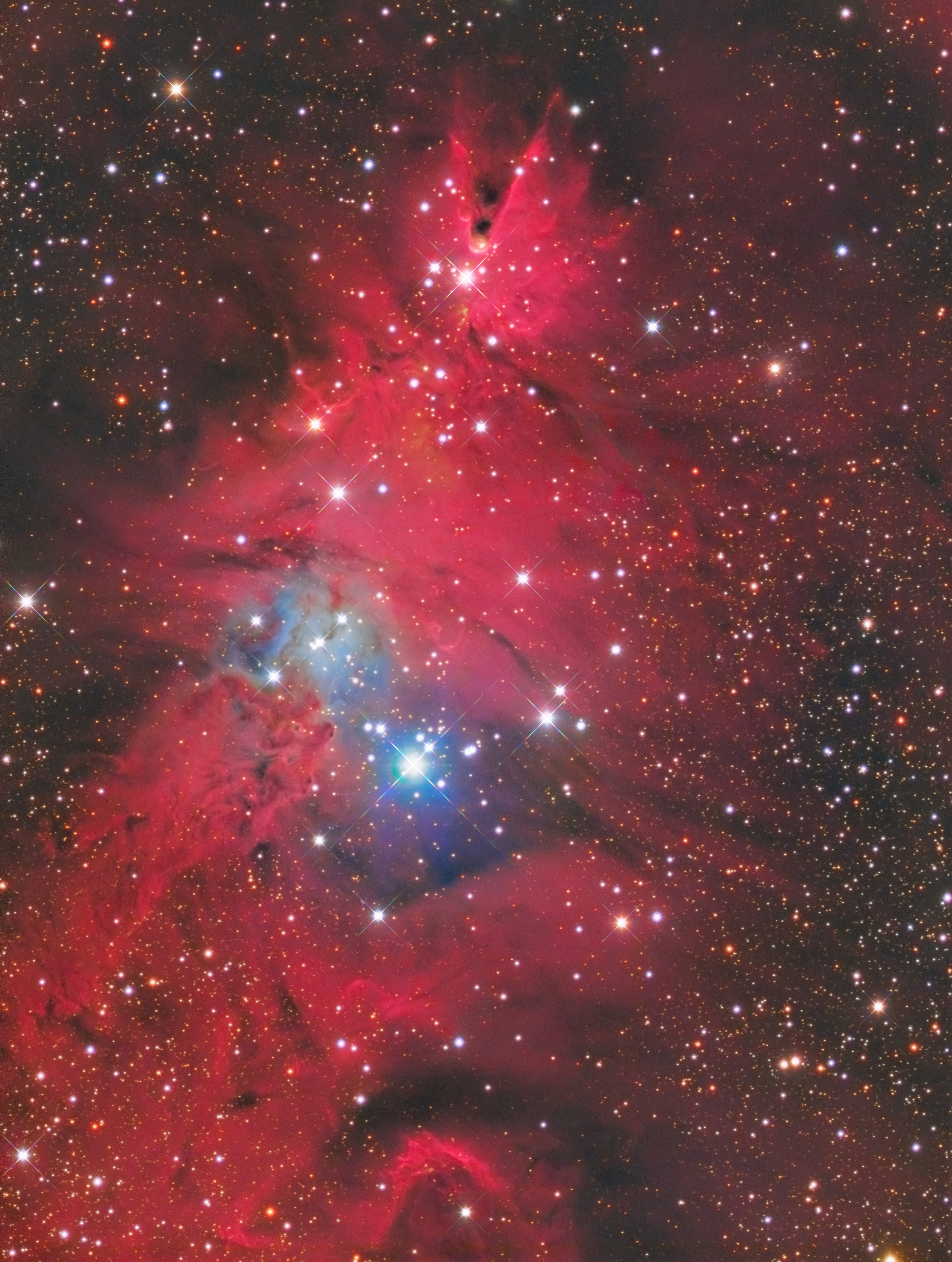 ngc2264.jpg