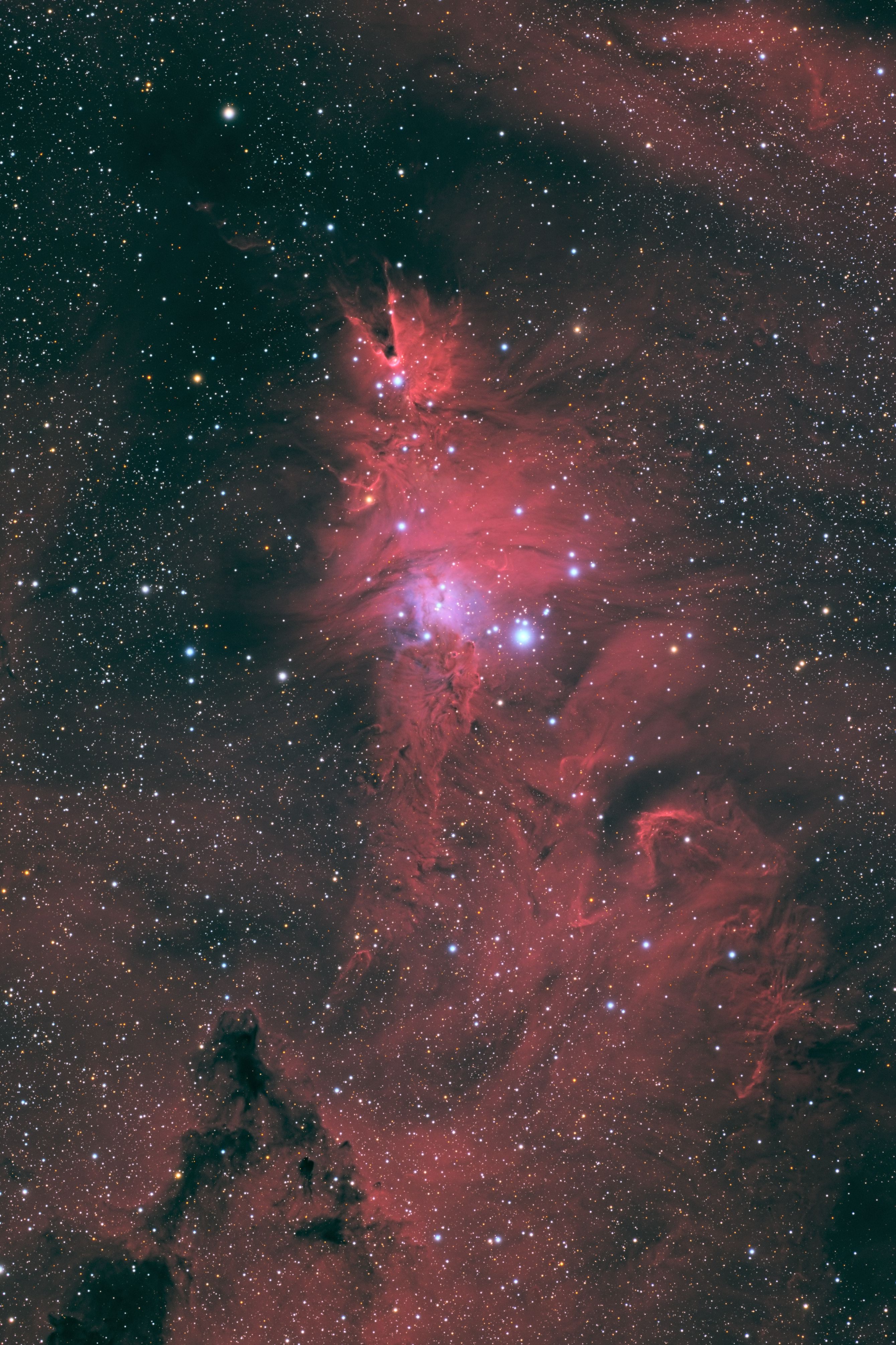 NGC2264_HLRGB_v1_small.jpg