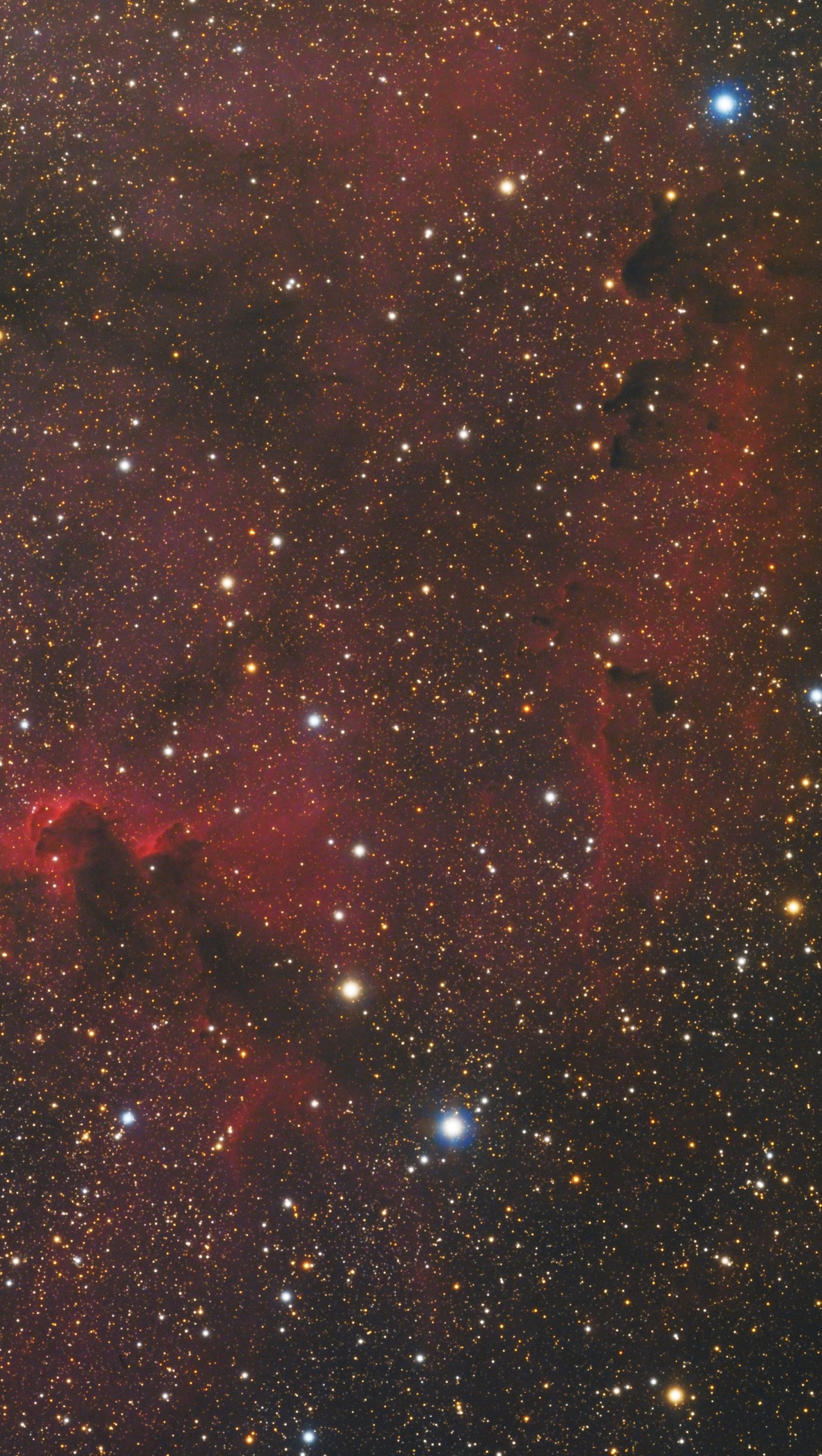 IC1396_3.jpg