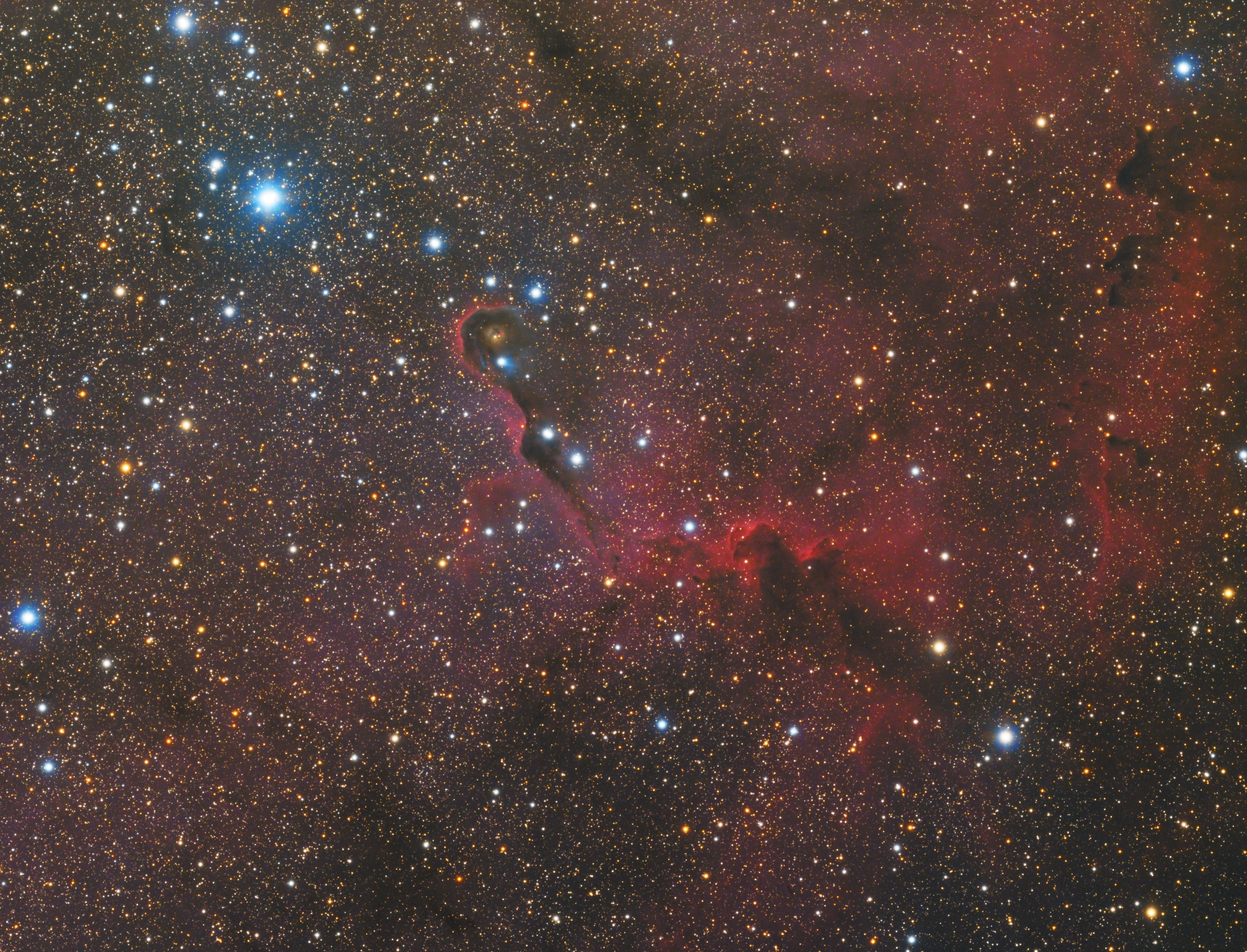 IC1396.jpg