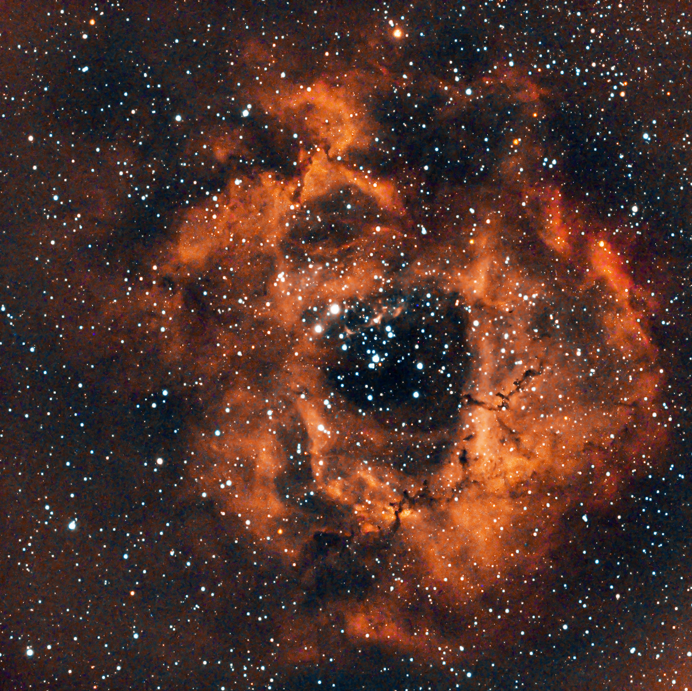 NGC2237玫瑰星云