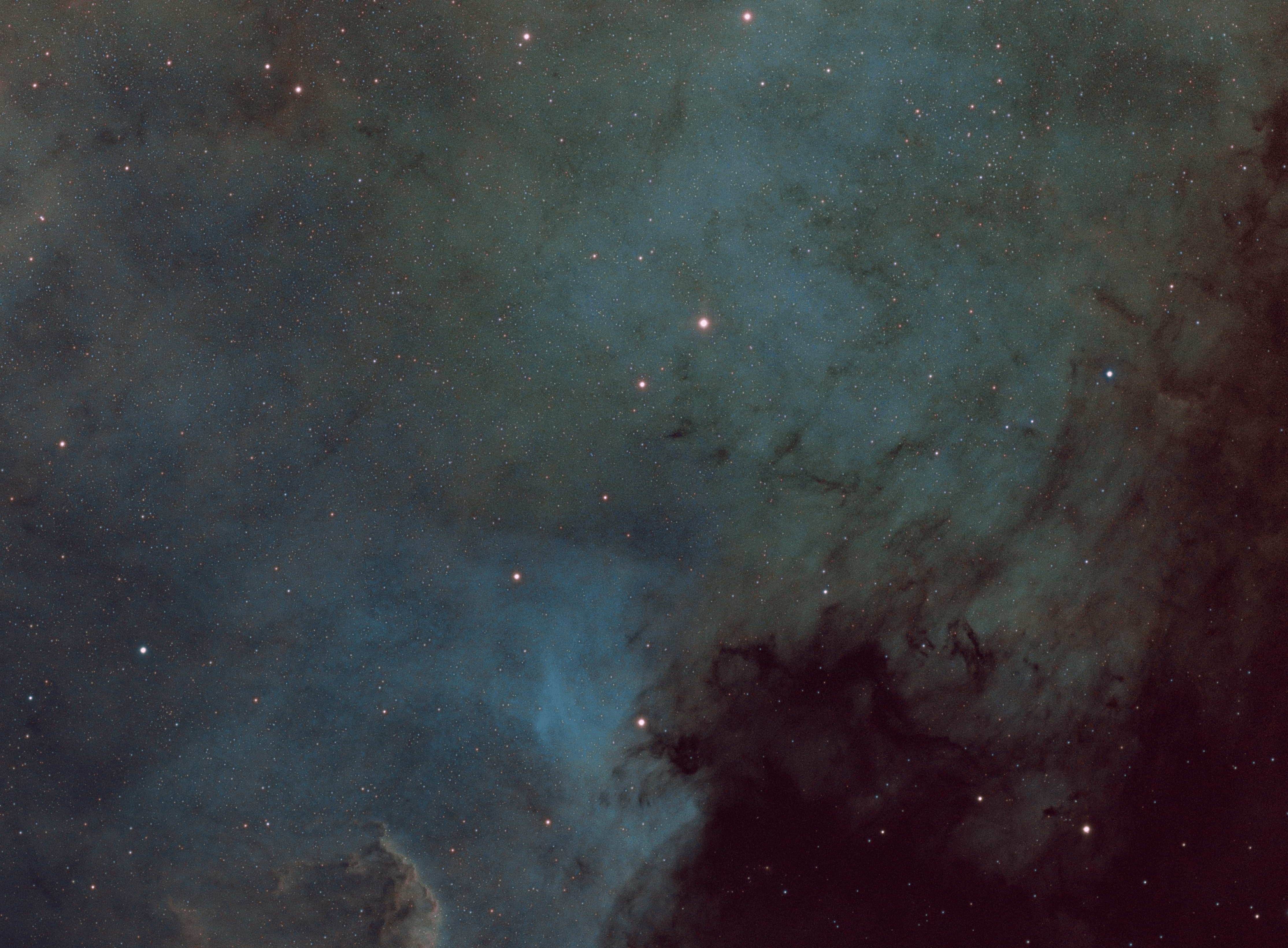 NGC7000_FIRST_8.png